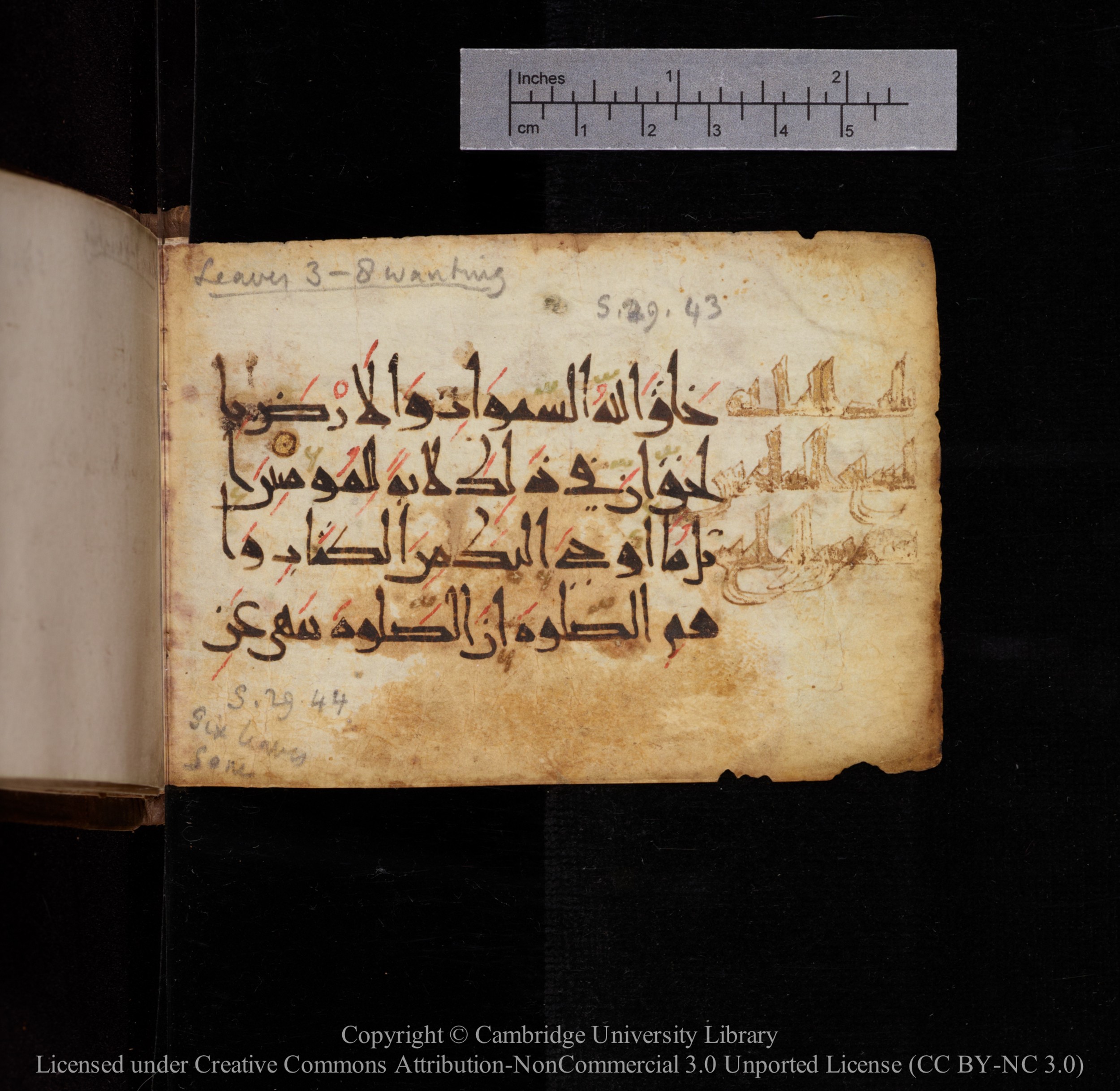 Cambridge, Cambridge University Library, MS Add.1144, in New Style script, showing Surah 29:44 from 9th or 10th Century AD found in Sinai Peninsula, currently housed at Cambridge University Library, Cambridge