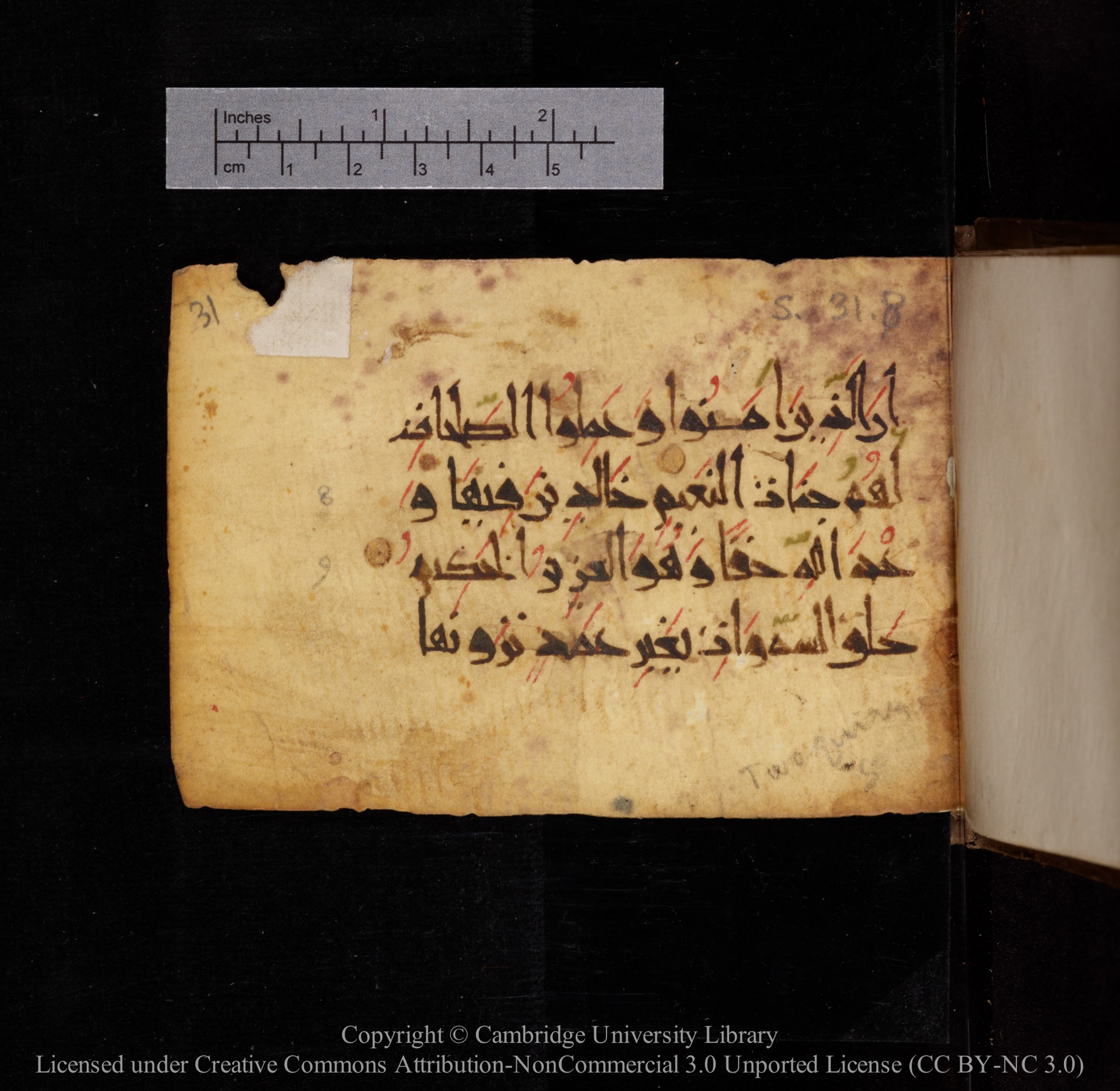 Cambridge, Cambridge University Library, MS Add.1144, in New Style script, showing Surah 31:9 from 9th or 10th Century AD found in Sinai Peninsula, currently housed at Cambridge University Library, Cambridge