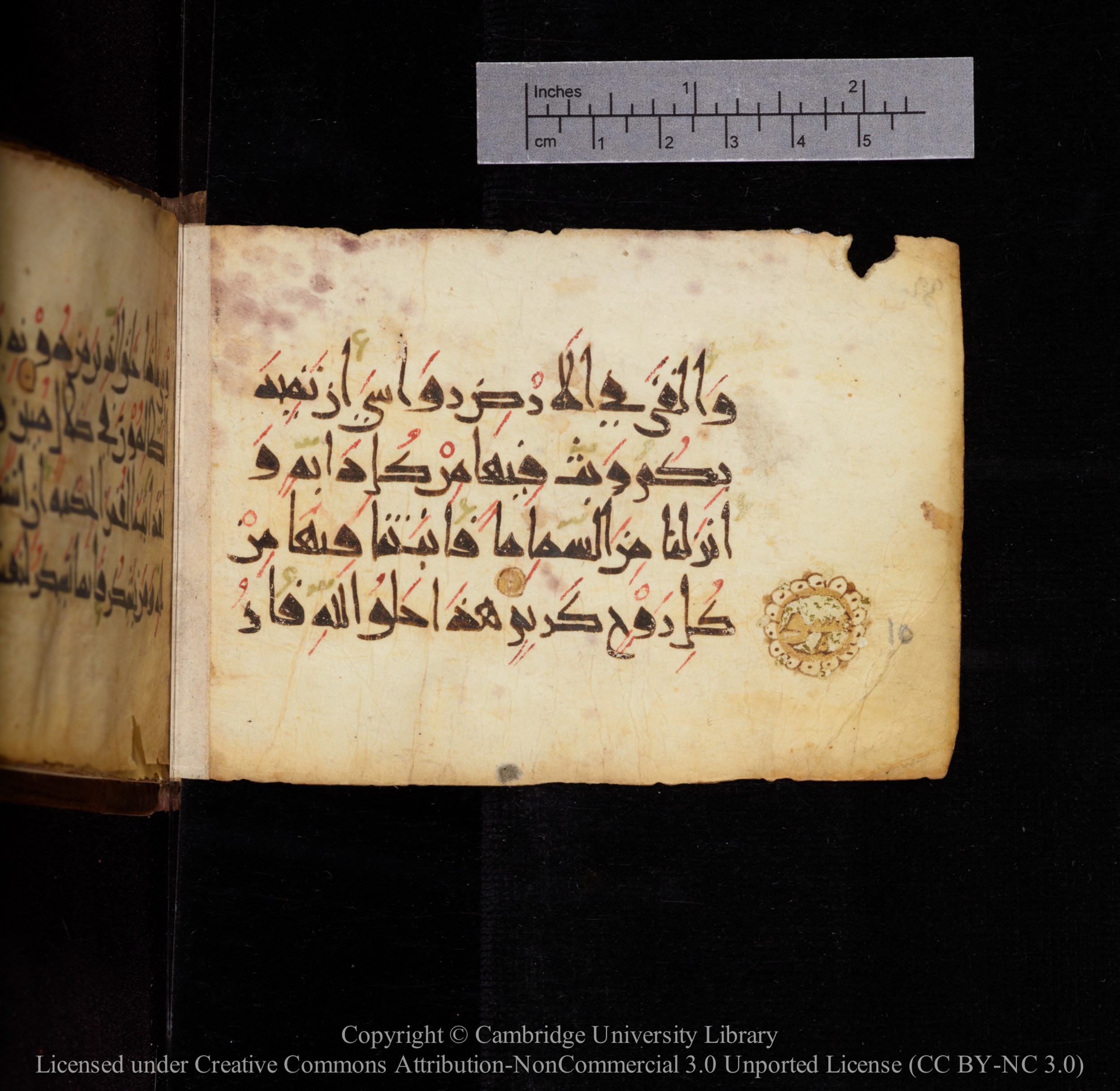 Cambridge, Cambridge University Library, MS Add.1144 (Scan 2), in New Style script, showing Surah 31:10 from 9th or 10th Century AD found in Sinai Peninsula, currently housed at Cambridge University Library, Cambridge