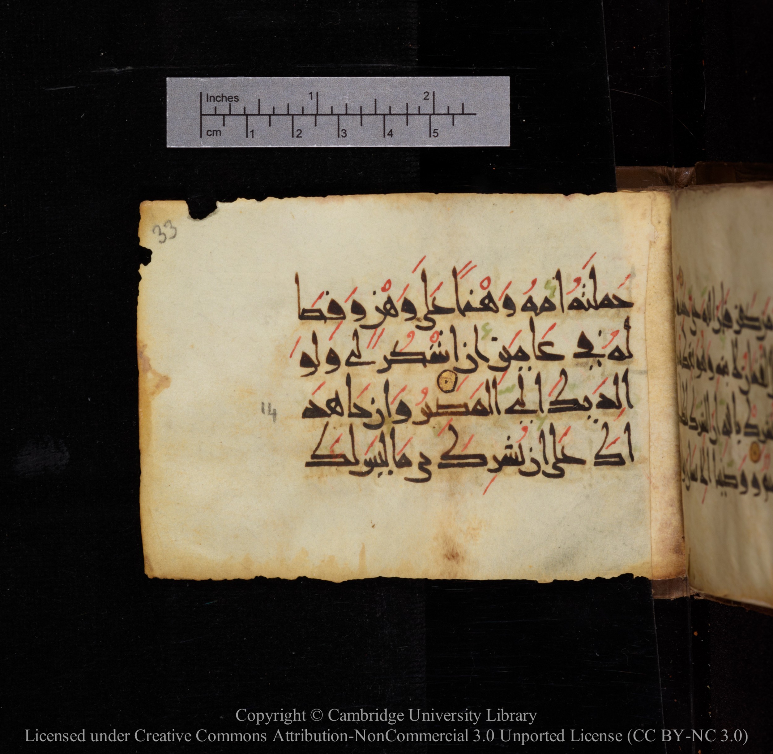 Cambridge, Cambridge University Library, MS Add.1144 (Scan 2), in New Style script, showing Surah 31:14 from 9th or 10th Century AD found in Sinai Peninsula, currently housed at Cambridge University Library, Cambridge