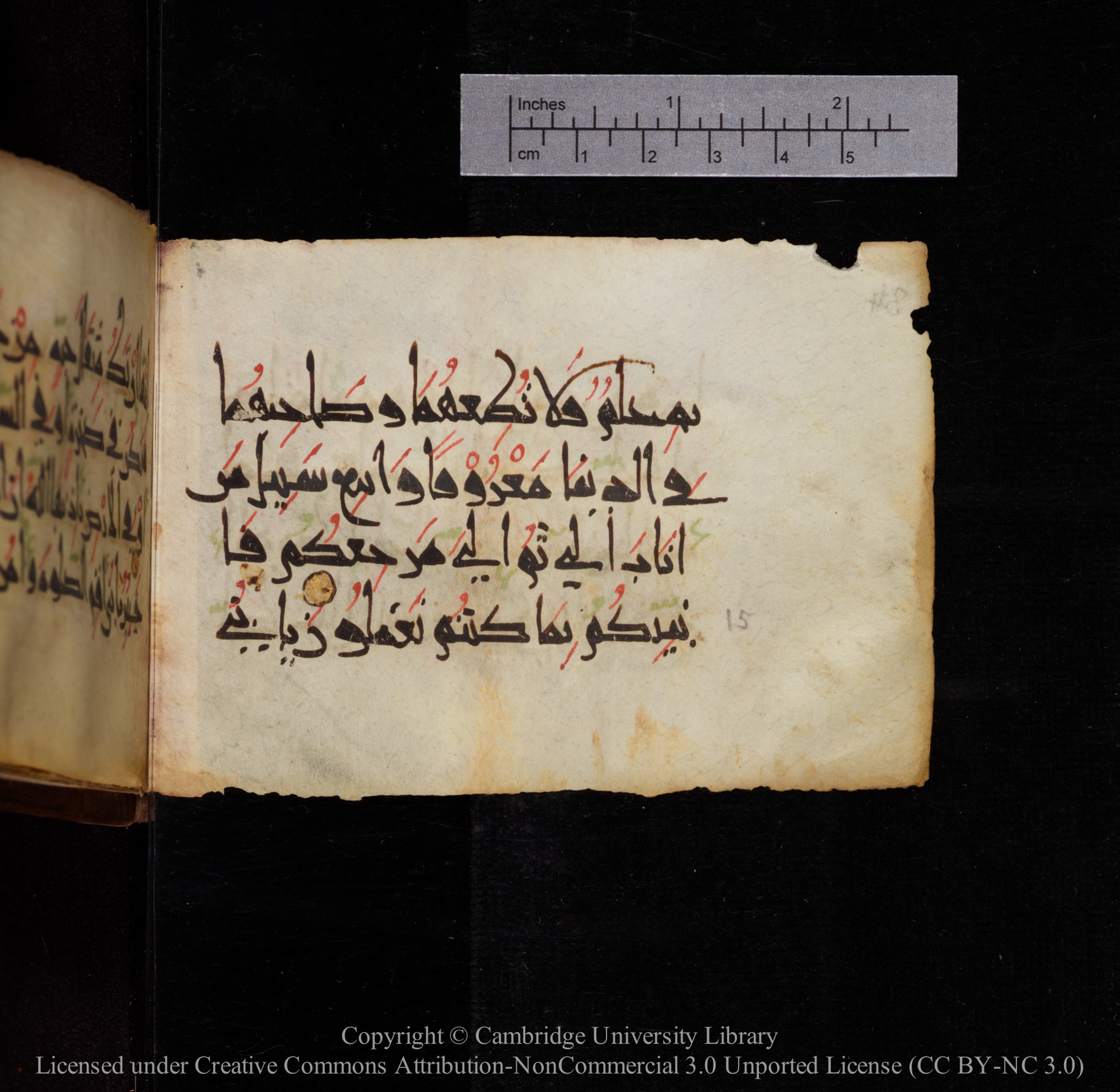 Cambridge, Cambridge University Library, MS Add.1144 (Scan 1), in New Style script, showing Surah 31:16 from 9th or 10th Century AD found in Sinai Peninsula, currently housed at Cambridge University Library, Cambridge