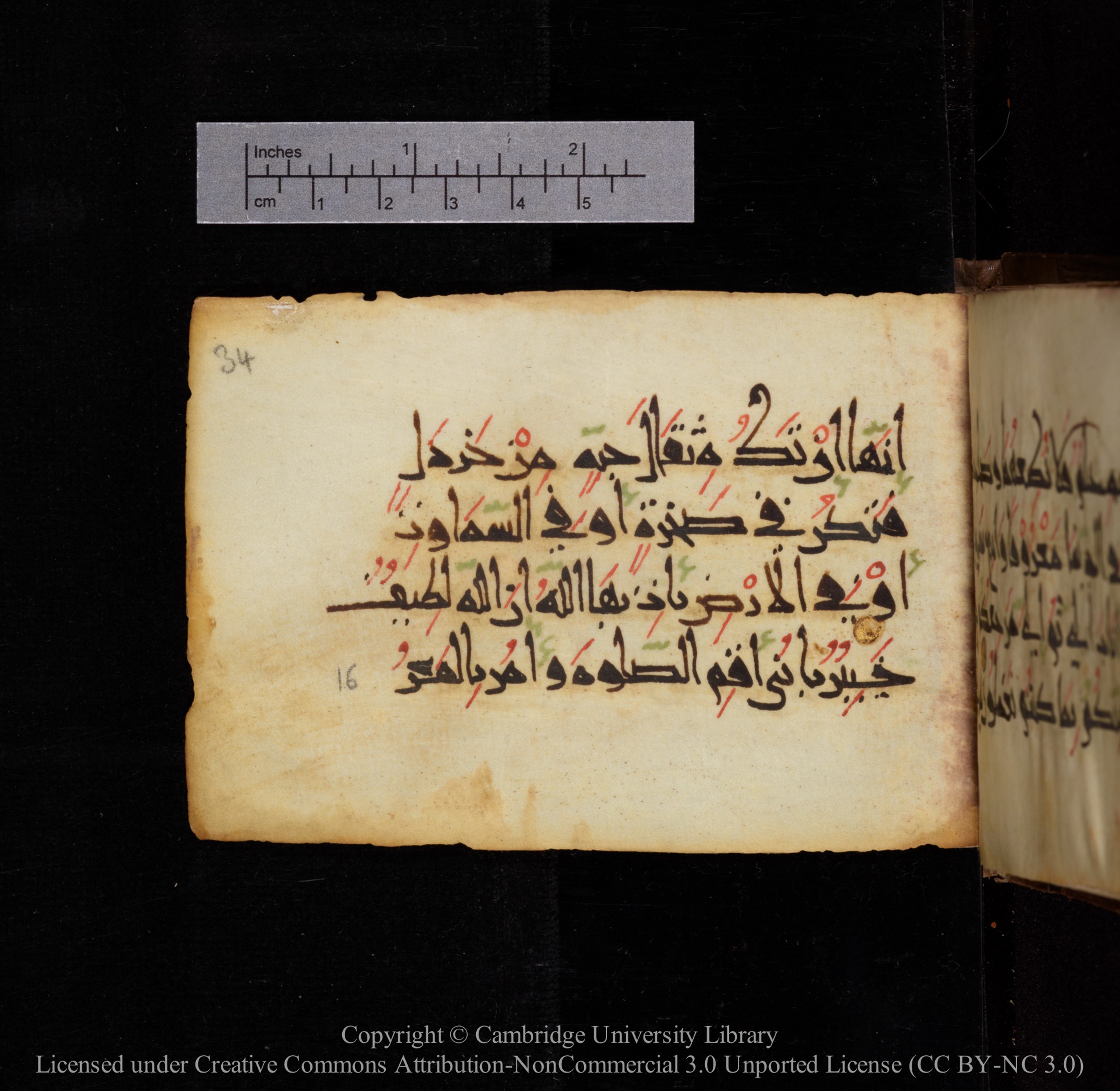 Cambridge, Cambridge University Library, MS Add.1144 (Scan 2), in New Style script, showing Surah 31:16 from 9th or 10th Century AD found in Sinai Peninsula, currently housed at Cambridge University Library, Cambridge