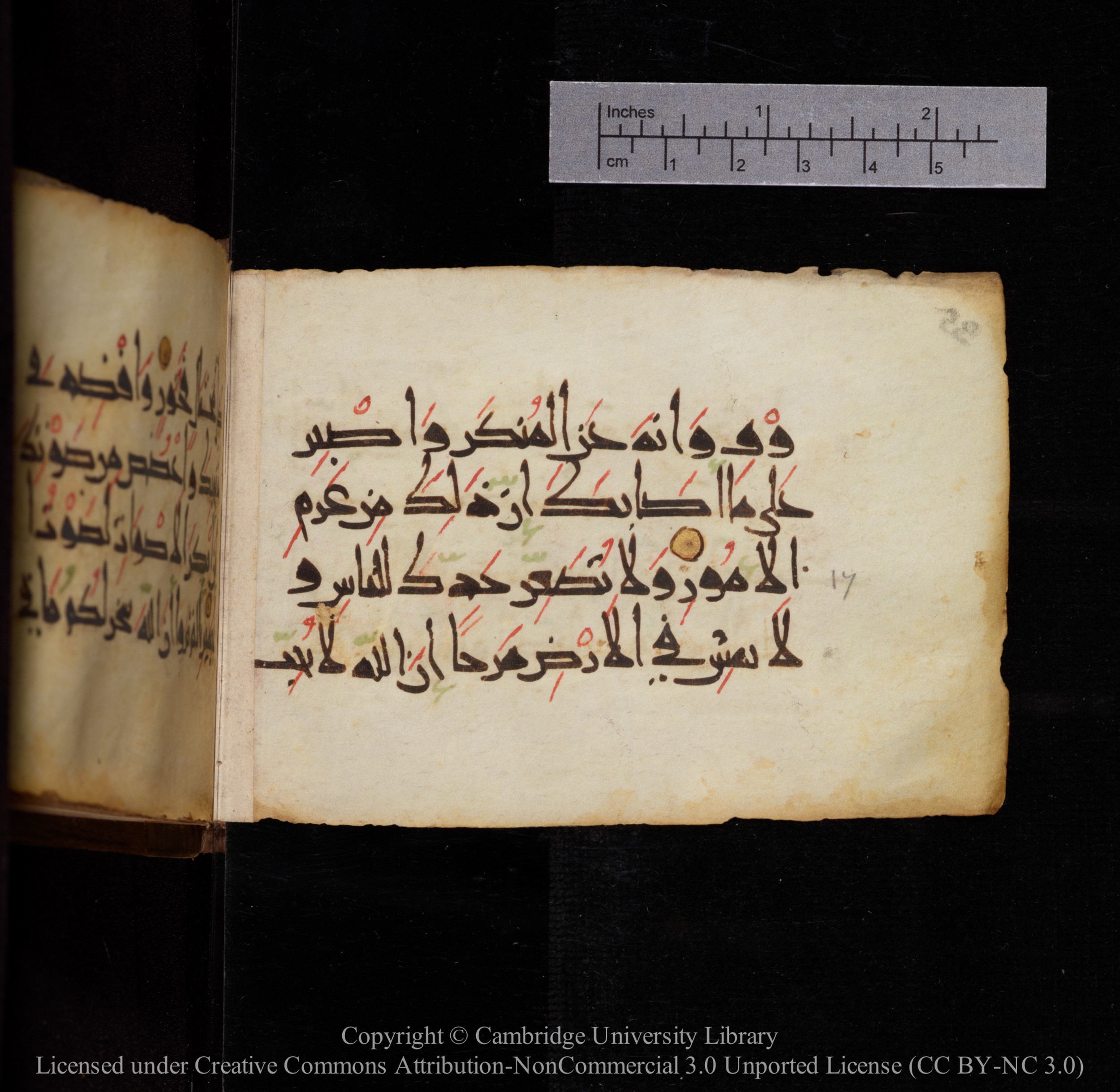 Cambridge, Cambridge University Library, MS Add.1144 (Scan 2), in New Style script, showing Surah 31:17 from 9th or 10th Century AD found in Sinai Peninsula, currently housed at Cambridge University Library, Cambridge