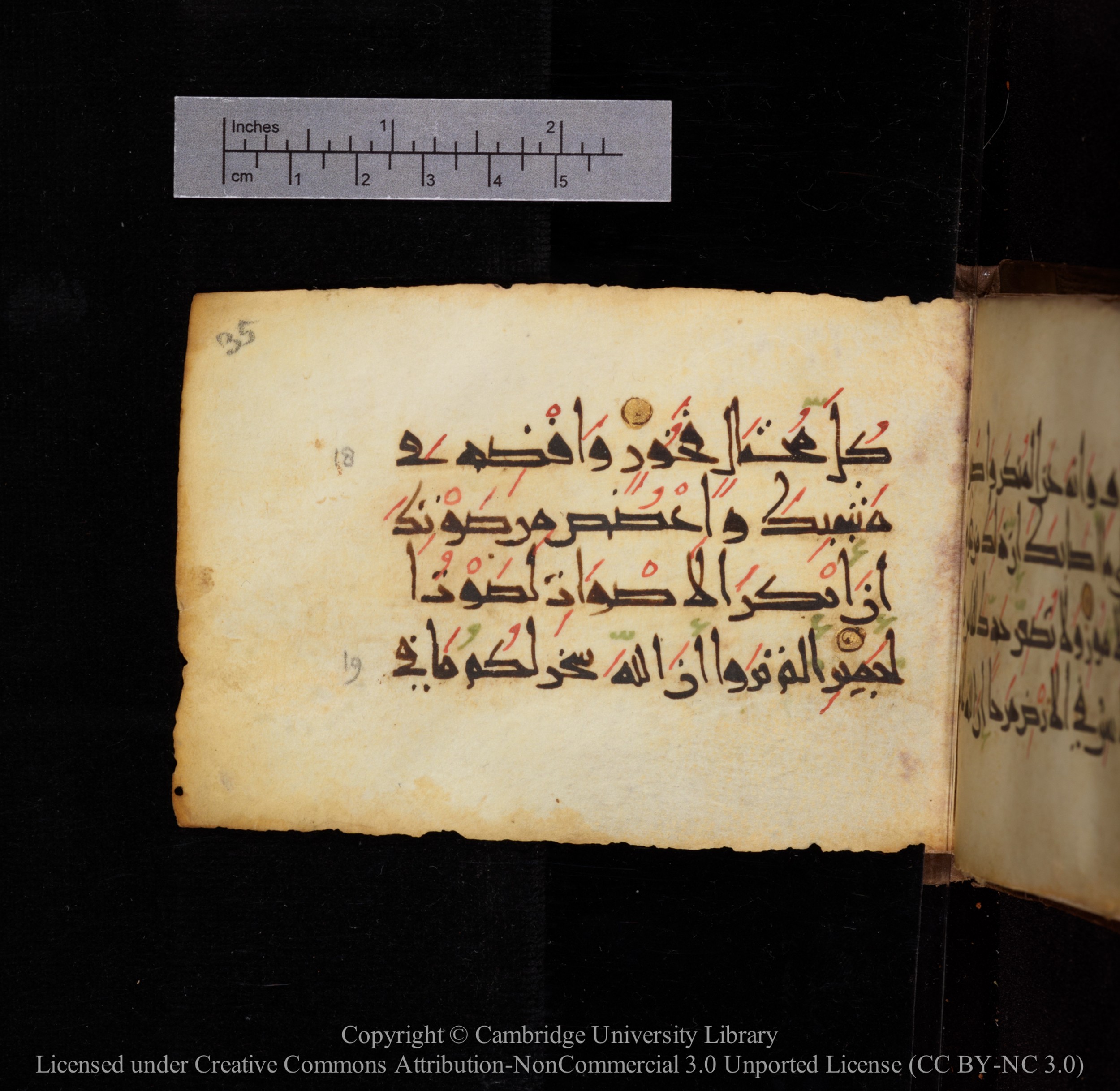 Cambridge, Cambridge University Library, MS Add.1144, in New Style script, showing Surah 31:19 from 9th or 10th Century AD found in Sinai Peninsula, currently housed at Cambridge University Library, Cambridge