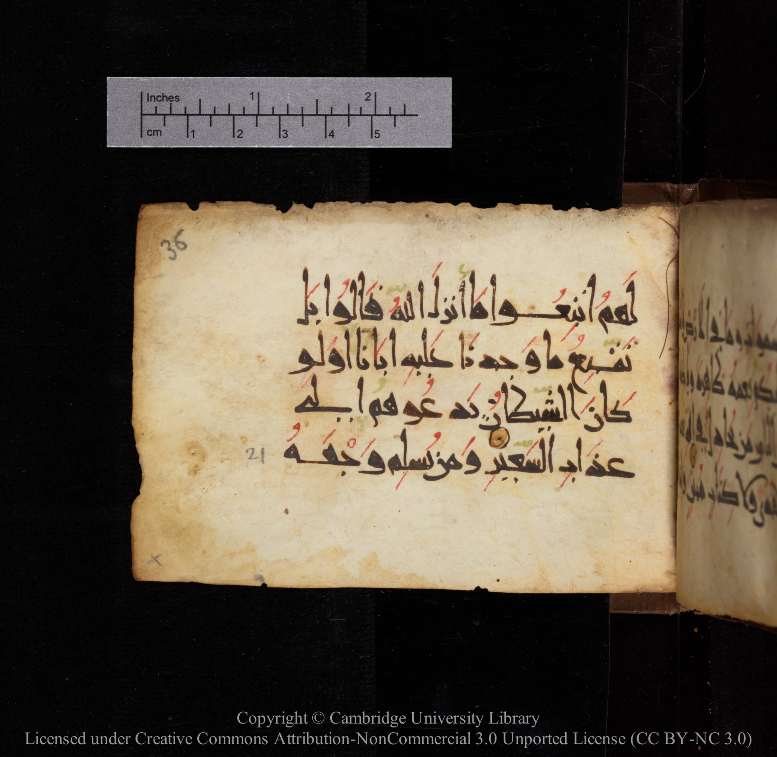Cambridge, Cambridge University Library, MS Add.1144 (Scan 2), in New Style script, showing Surah 31:21 from 9th or 10th Century AD found in Sinai Peninsula, currently housed at Cambridge University Library, Cambridge