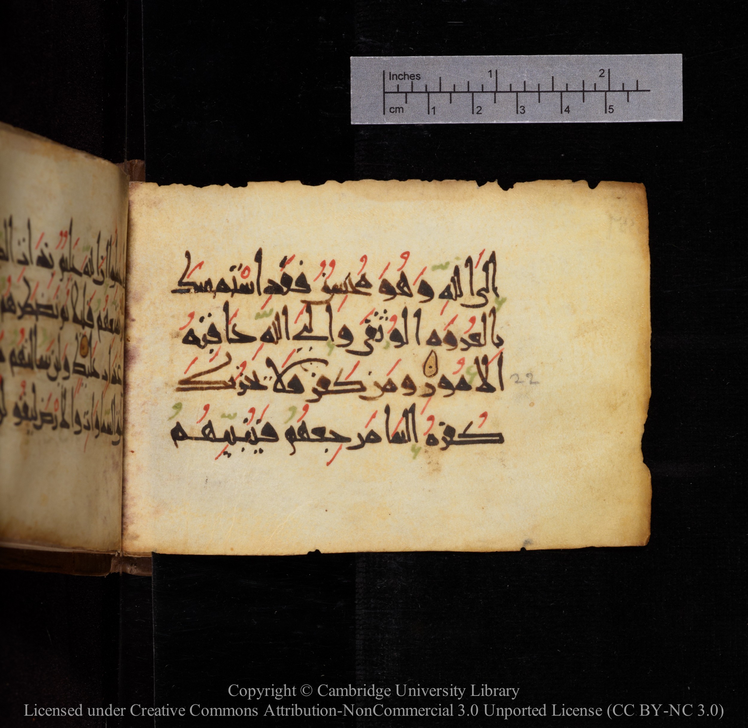 Cambridge, Cambridge University Library, MS Add.1144 (Scan 2), in New Style script, showing Surah 31:22 from 9th or 10th Century AD found in Sinai Peninsula, currently housed at Cambridge University Library, Cambridge