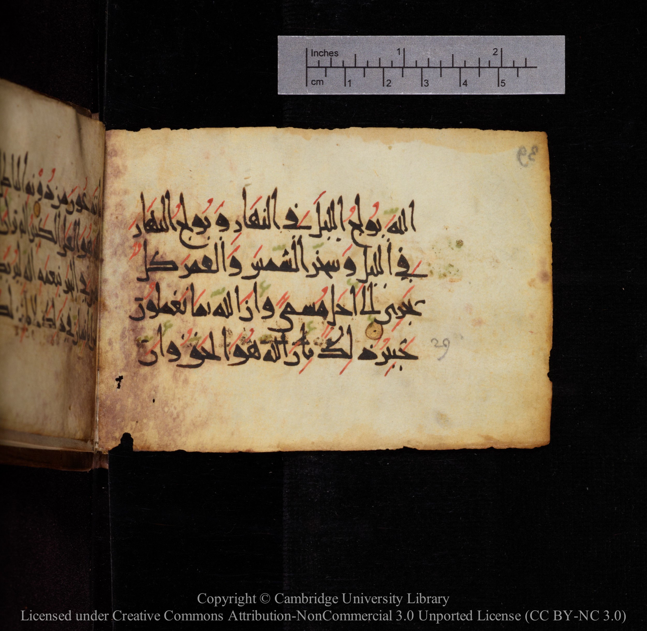Cambridge, Cambridge University Library, MS Add.1144 (Scan 1), in New Style script, showing Surah 31:30 from 9th or 10th Century AD found in Sinai Peninsula, currently housed at Cambridge University Library, Cambridge