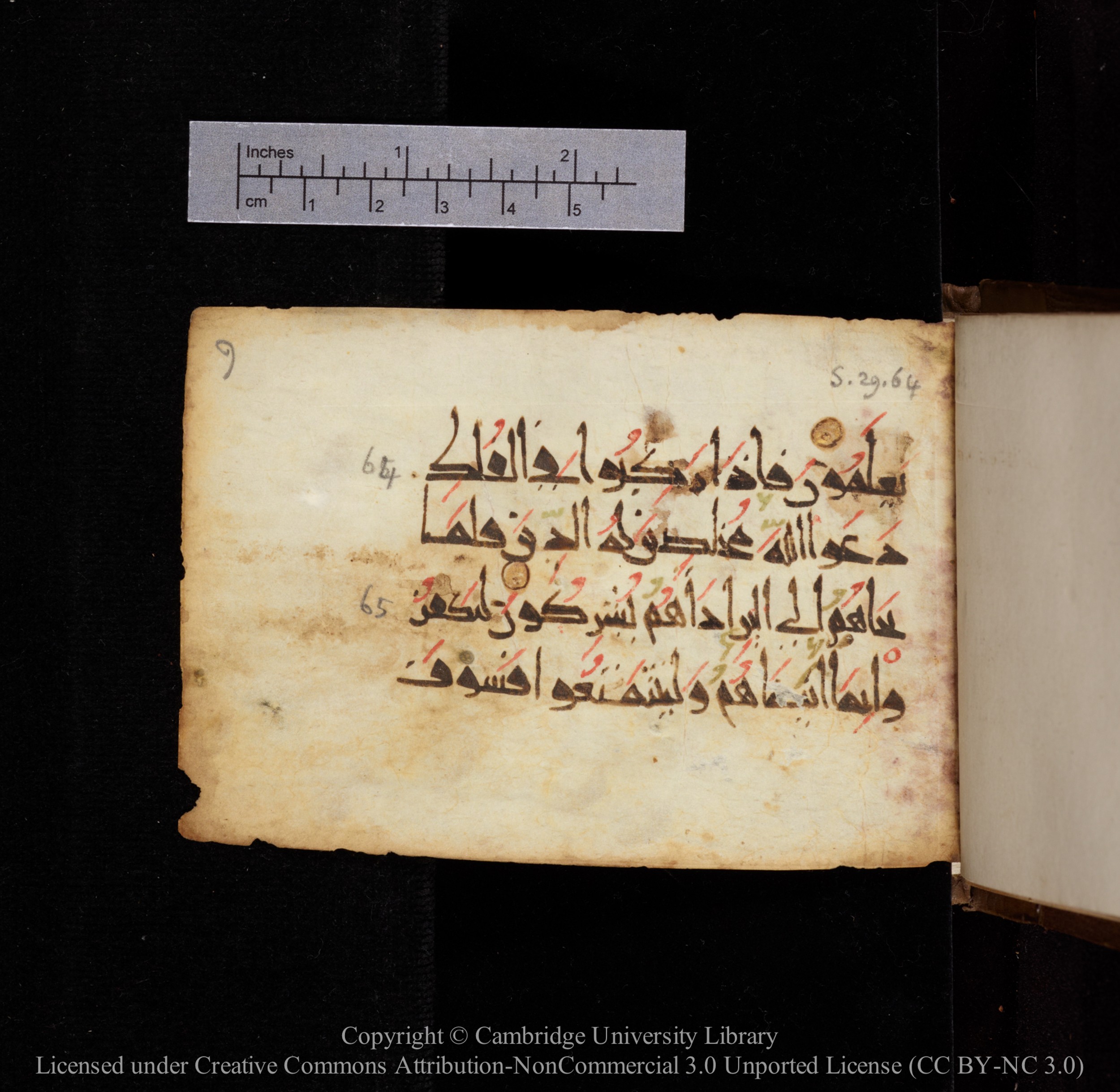 Cambridge, Cambridge University Library, MS Add.1144, in New Style script, showing Surah 29:64 from 9th or 10th Century AD found in Sinai Peninsula, currently housed at Cambridge University Library, Cambridge