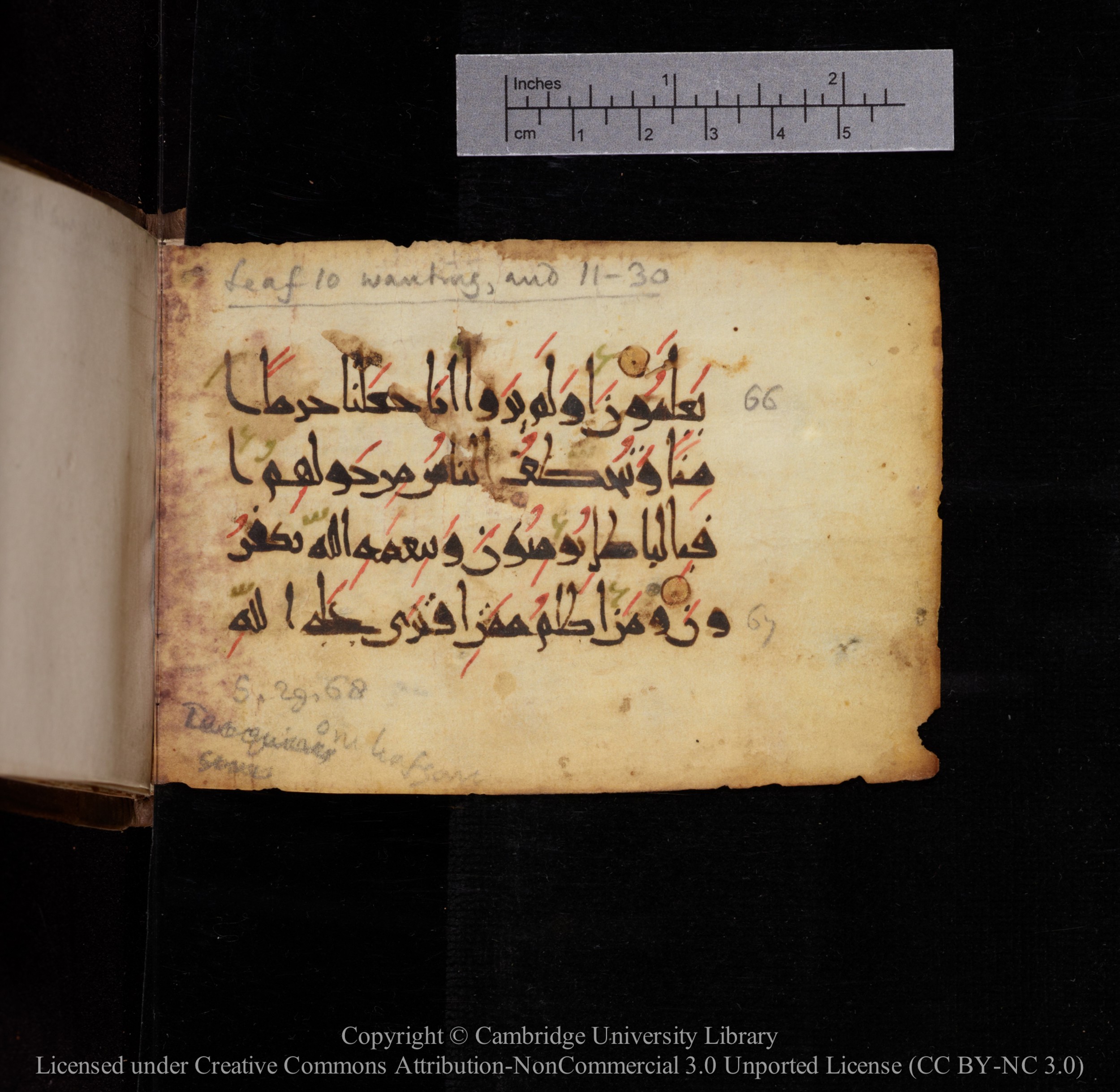 Cambridge, Cambridge University Library, MS Add.1144, in New Style script, showing Surah 29:68 from 9th or 10th Century AD found in Sinai Peninsula, currently housed at Cambridge University Library, Cambridge
