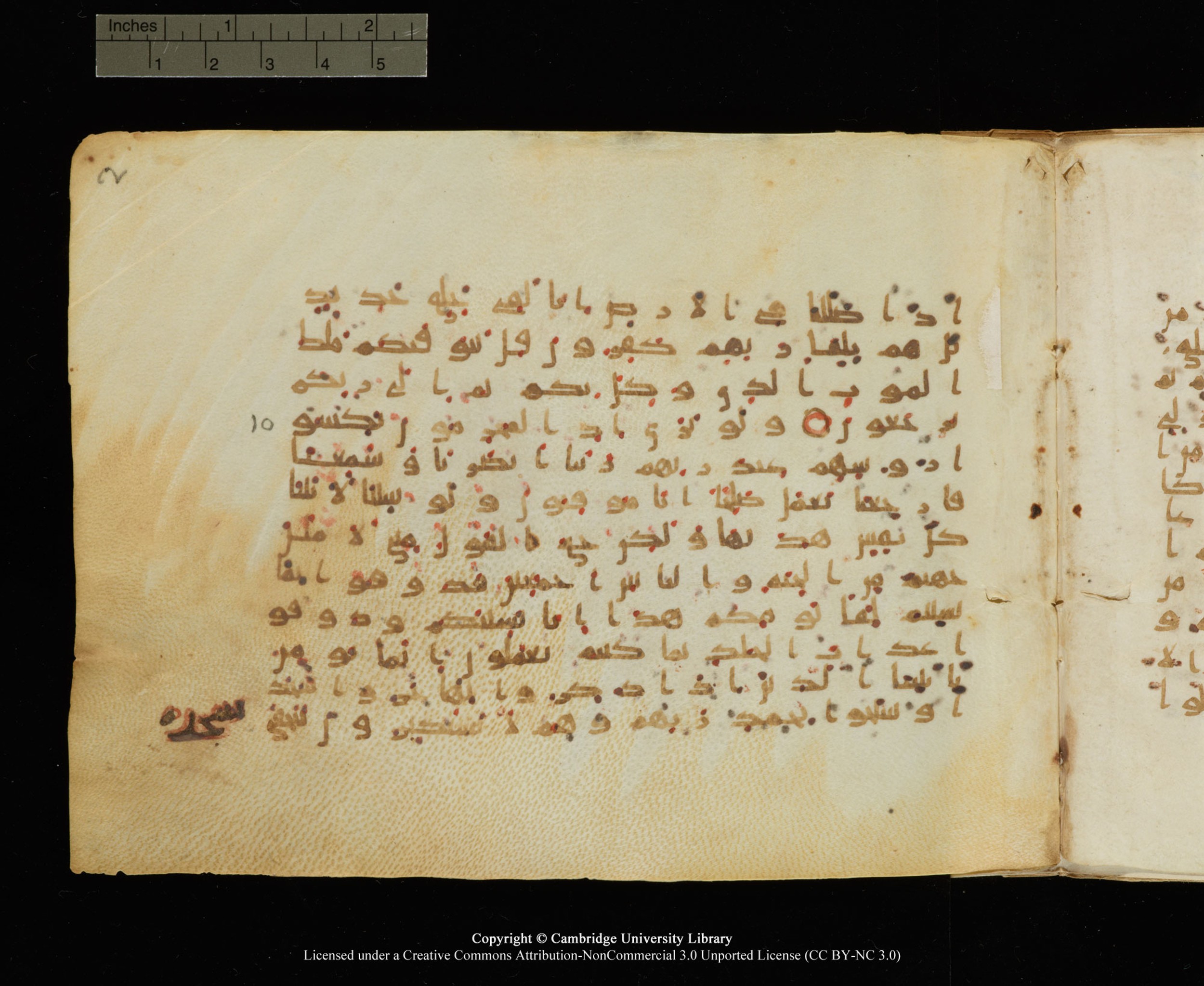 Cambridge University Library, MS Add.1145 (Scan 2), in Kūfī B II script, showing Surah 32:10 from Late 9th or 10th Century AD found in Sinai Peninsula, currently housed at Cambridge University Library, Cambridge