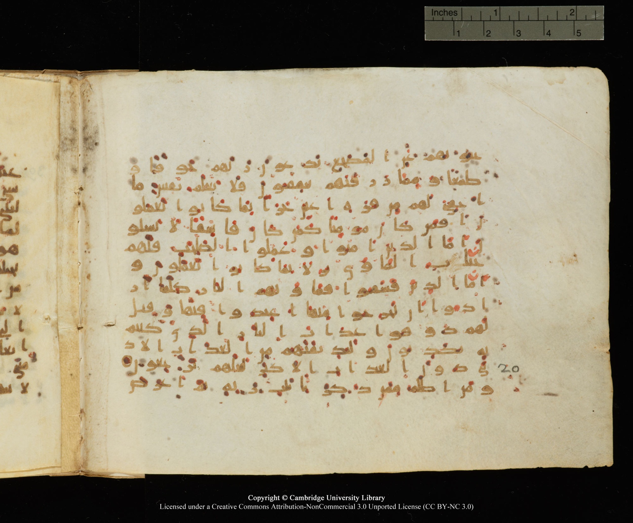 Cambridge University Library, MS Add.1145, in Kūfī B II script, showing Surah 32:18 from Late 9th or 10th Century AD found in Sinai Peninsula, currently housed at Cambridge University Library, Cambridge
