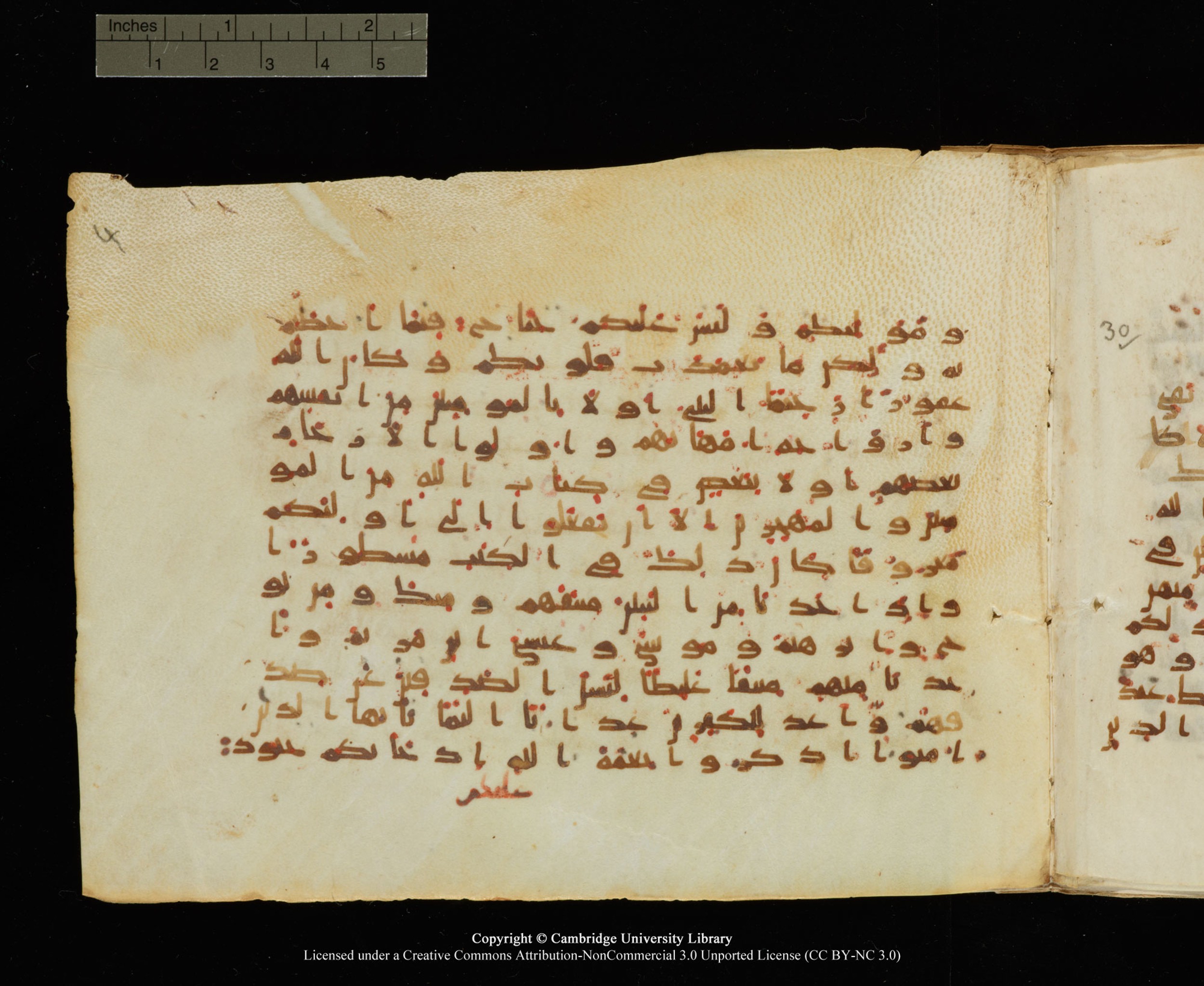 Cambridge University Library, MS Add.1145, in Kūfī B II script, showing Surah 33:7 from Late 9th or 10th Century AD found in Sinai Peninsula, currently housed at Cambridge University Library, Cambridge
