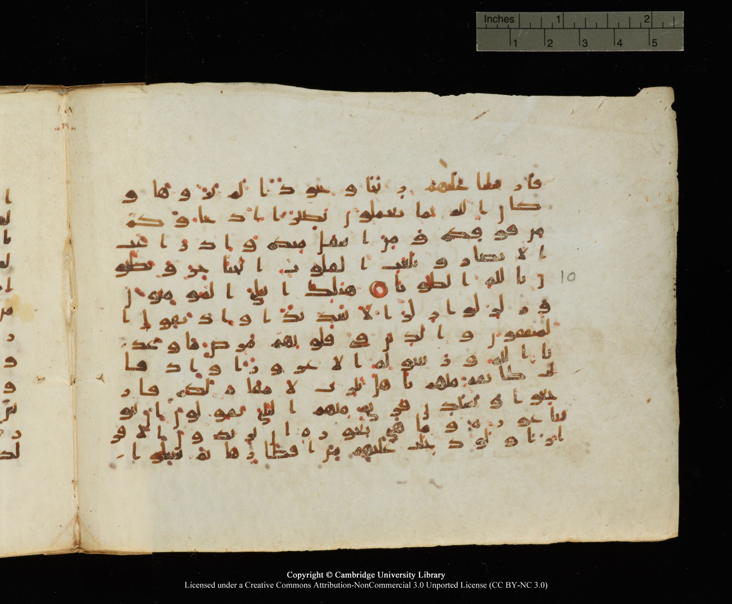 Cambridge University Library, MS Add.1145, in Kūfī B II script, showing Surah 33:13 from Late 9th or 10th Century AD found in Sinai Peninsula, currently housed at Cambridge University Library, Cambridge