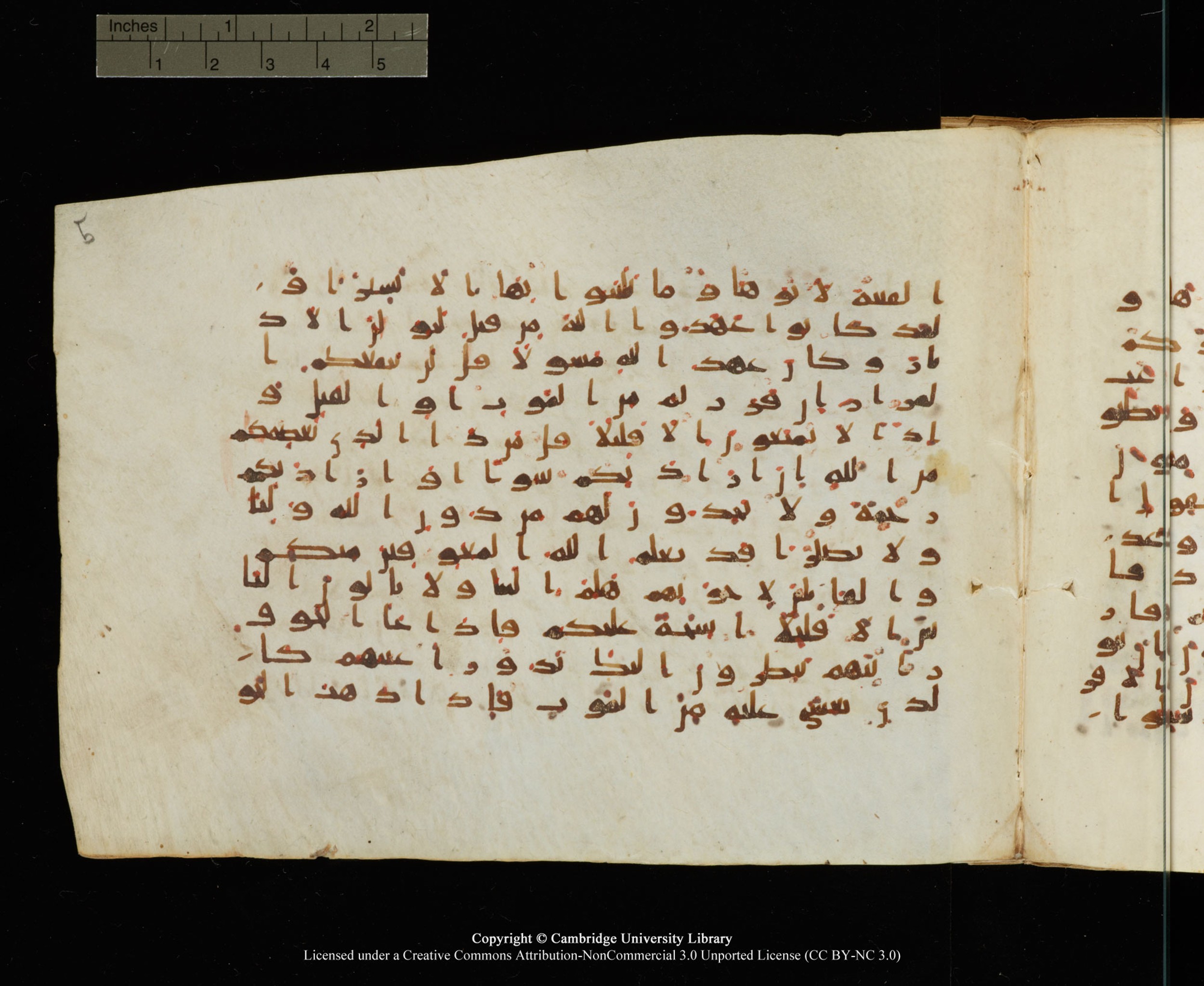 Cambridge University Library, MS Add.1145, in Kūfī B II script, showing Surah 33:16 from Late 9th or 10th Century AD found in Sinai Peninsula, currently housed at Cambridge University Library, Cambridge