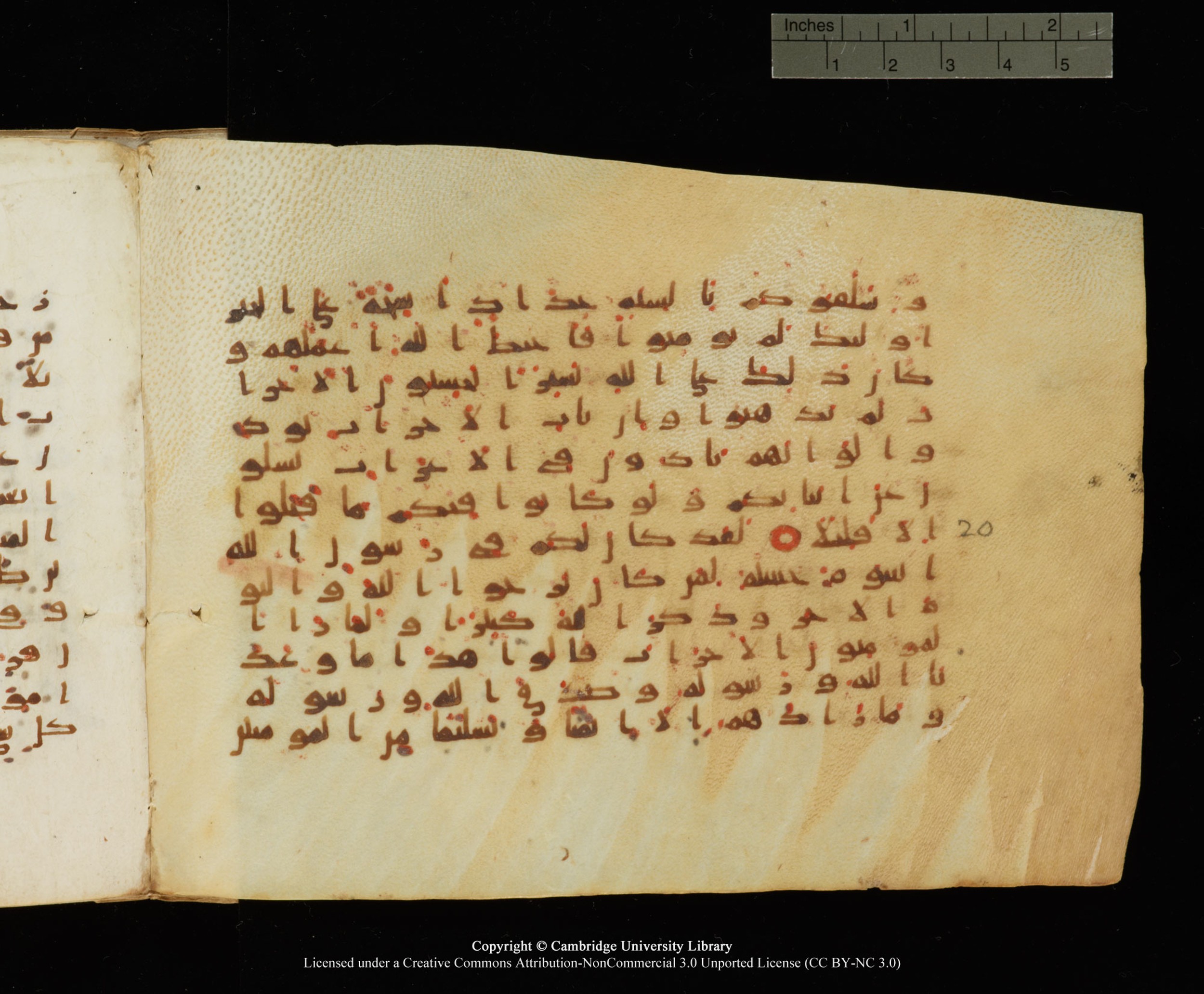 Cambridge University Library, MS Add.1145, in Kūfī B II script, showing Surah 33:22 from Late 9th or 10th Century AD found in Sinai Peninsula, currently housed at Cambridge University Library, Cambridge