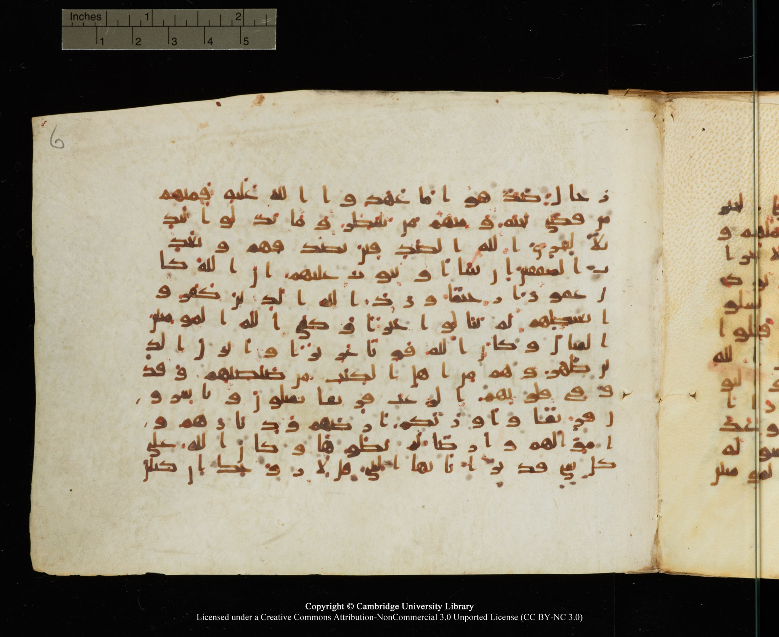Cambridge University Library, MS Add.1145 (Scan 2), in Kūfī B II script, showing Surah 33:23 from Late 9th or 10th Century AD found in Sinai Peninsula, currently housed at Cambridge University Library, Cambridge