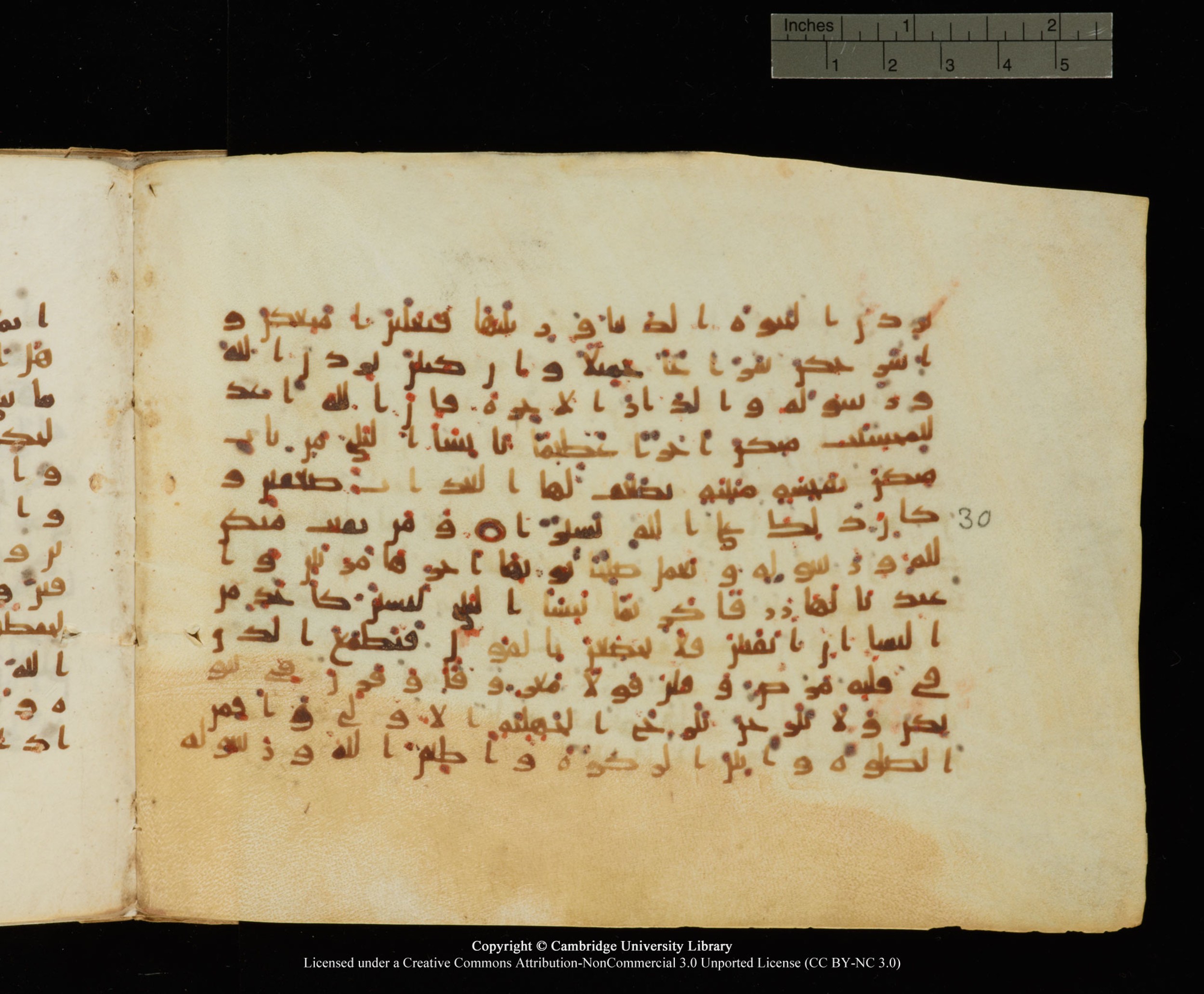 Cambridge University Library, MS Add.1145, in Kūfī B II script, showing Surah 33:32 from Late 9th or 10th Century AD found in Sinai Peninsula, currently housed at Cambridge University Library, Cambridge