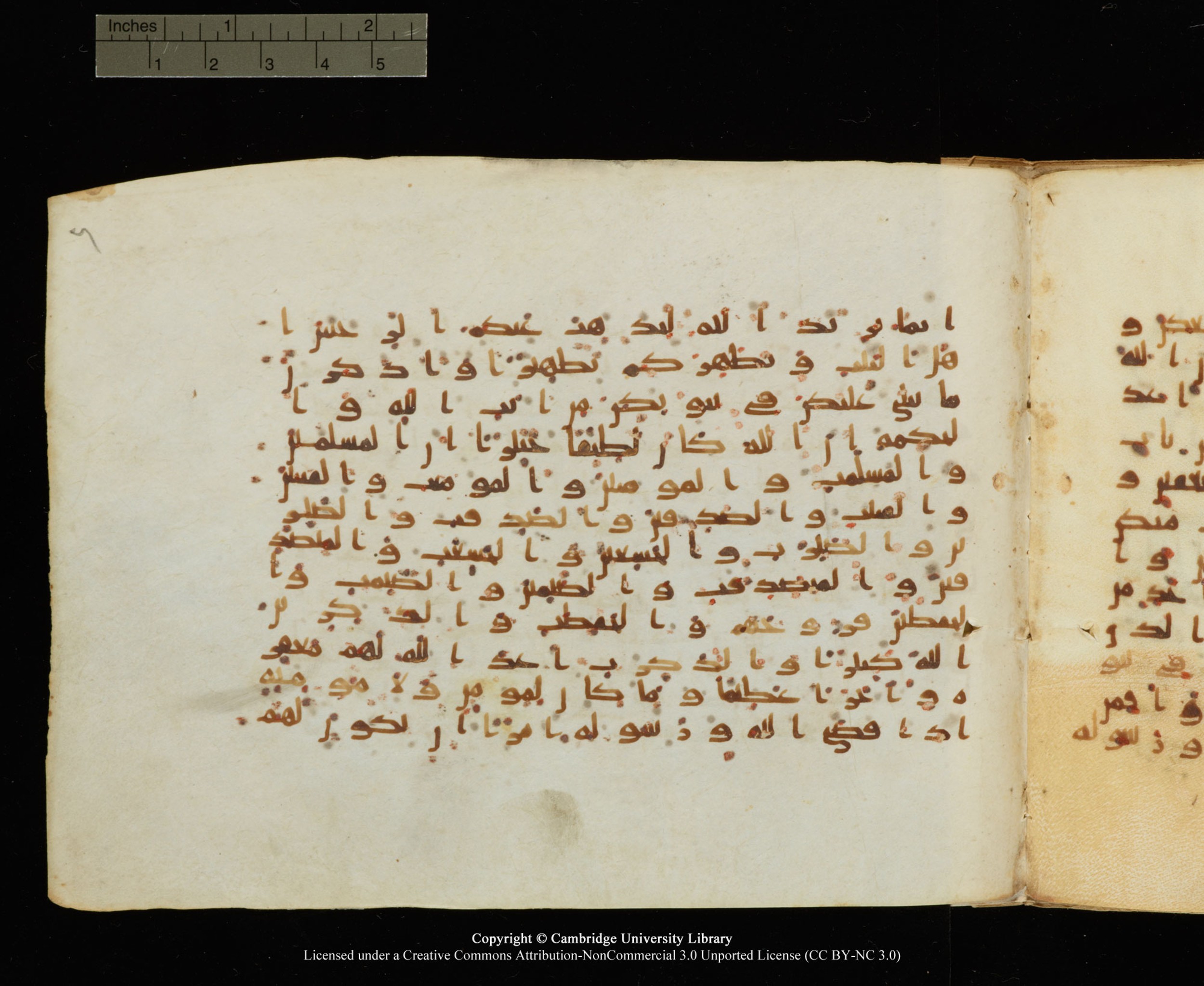 Cambridge University Library, MS Add.1145 (Scan 1), in Kūfī B II script, showing Surah 33:36 from Late 9th or 10th Century AD found in Sinai Peninsula, currently housed at Cambridge University Library, Cambridge