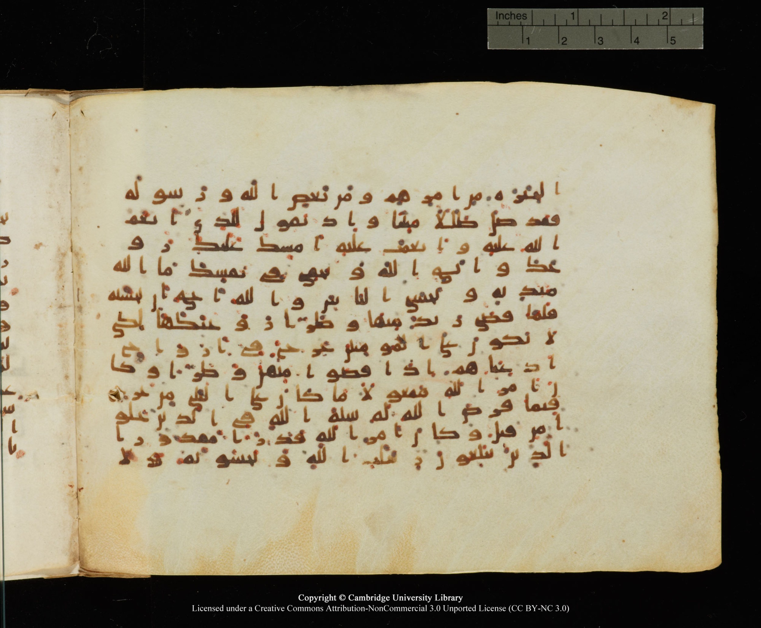 Cambridge University Library, MS Add.1145 (Scan 1), in Kūfī B II script, showing Surah 33:39 from Late 9th or 10th Century AD found in Sinai Peninsula, currently housed at Cambridge University Library, Cambridge