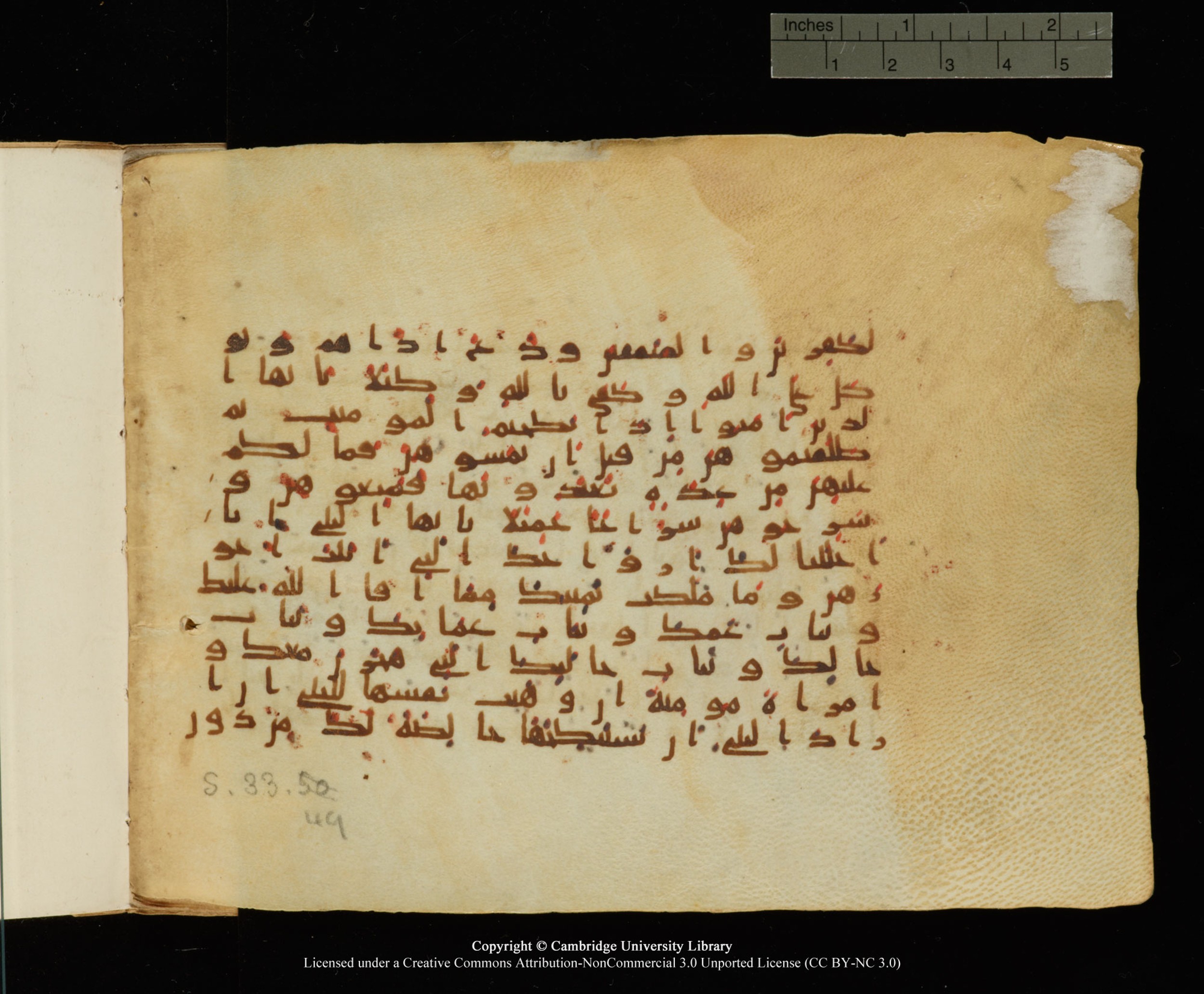 Cambridge University Library, MS Add.1145, in Kūfī B II script, showing Surah 33:49 from Late 9th or 10th Century AD found in Sinai Peninsula, currently housed at Cambridge University Library, Cambridge