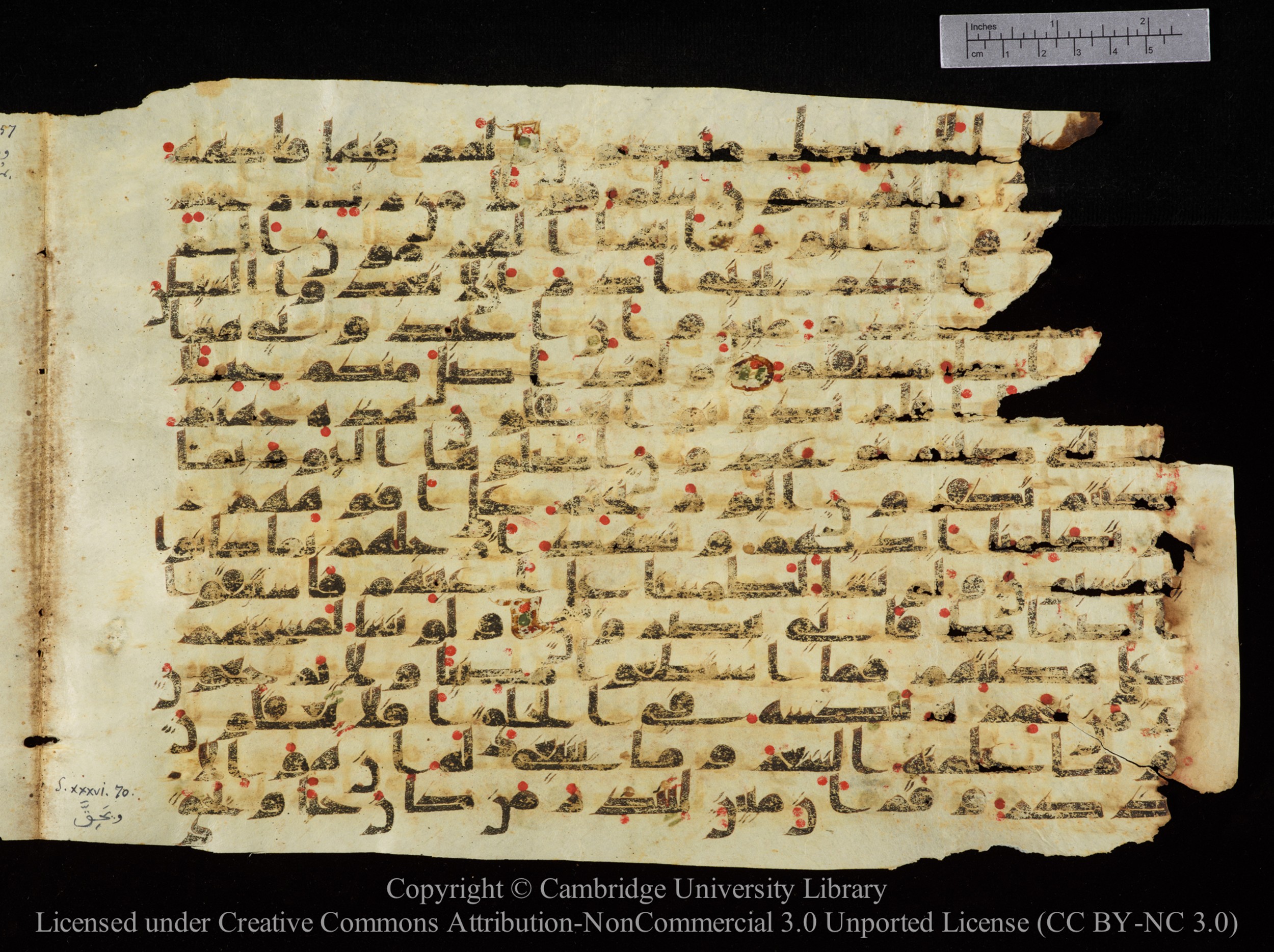 Cambridge University Library, MS Add.1147, in kūfī C II script, showing Surah 36:63 from 9th or 10th Century AD found in Sinai Peninsula, currently housed at Cambridge University Library, Cambridge