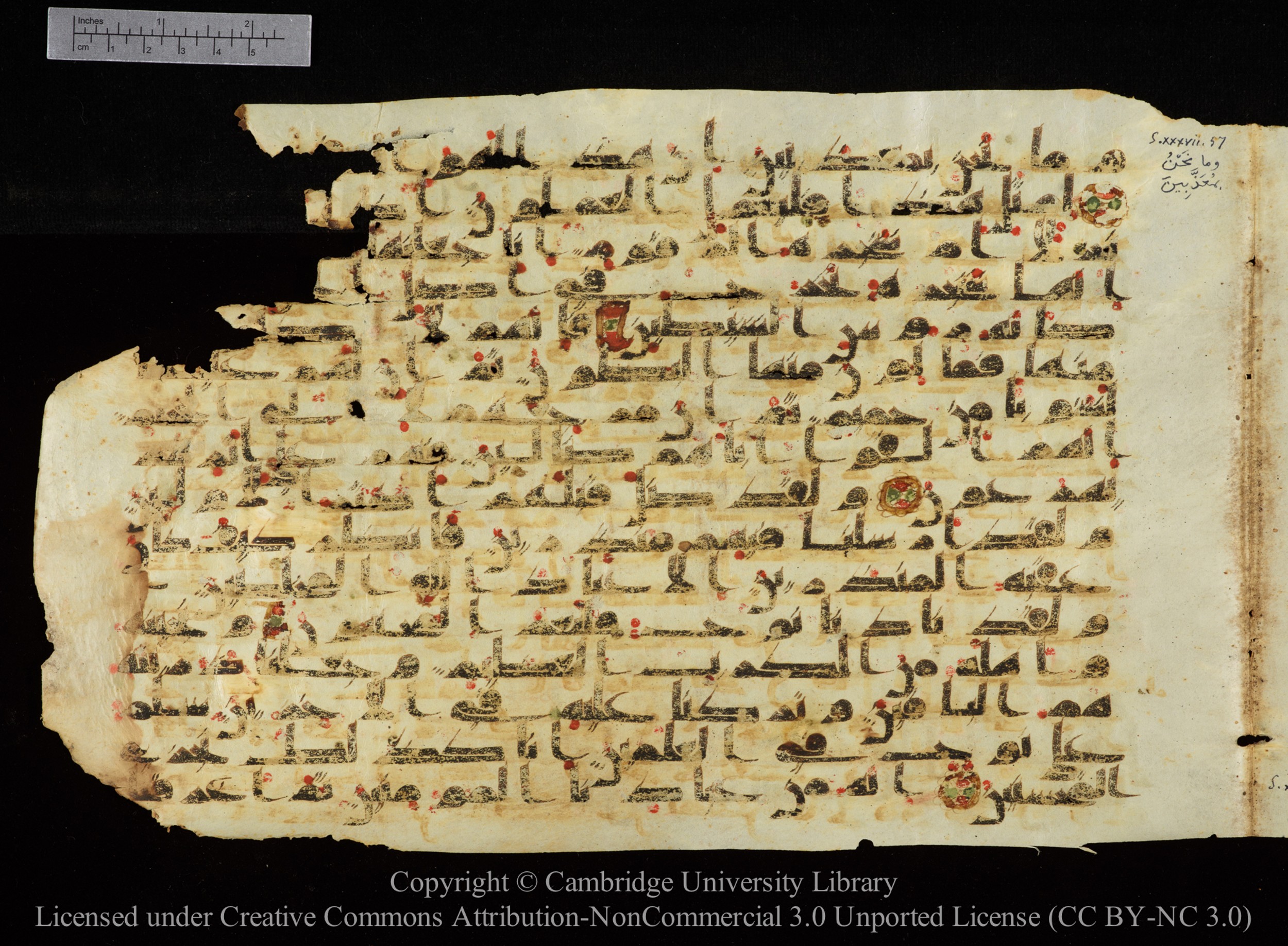 Cambridge University Library, MS Add.1147, in kūfī C II script, showing Surah 37:71 from 9th or 10th Century AD found in Sinai Peninsula, currently housed at Cambridge University Library, Cambridge