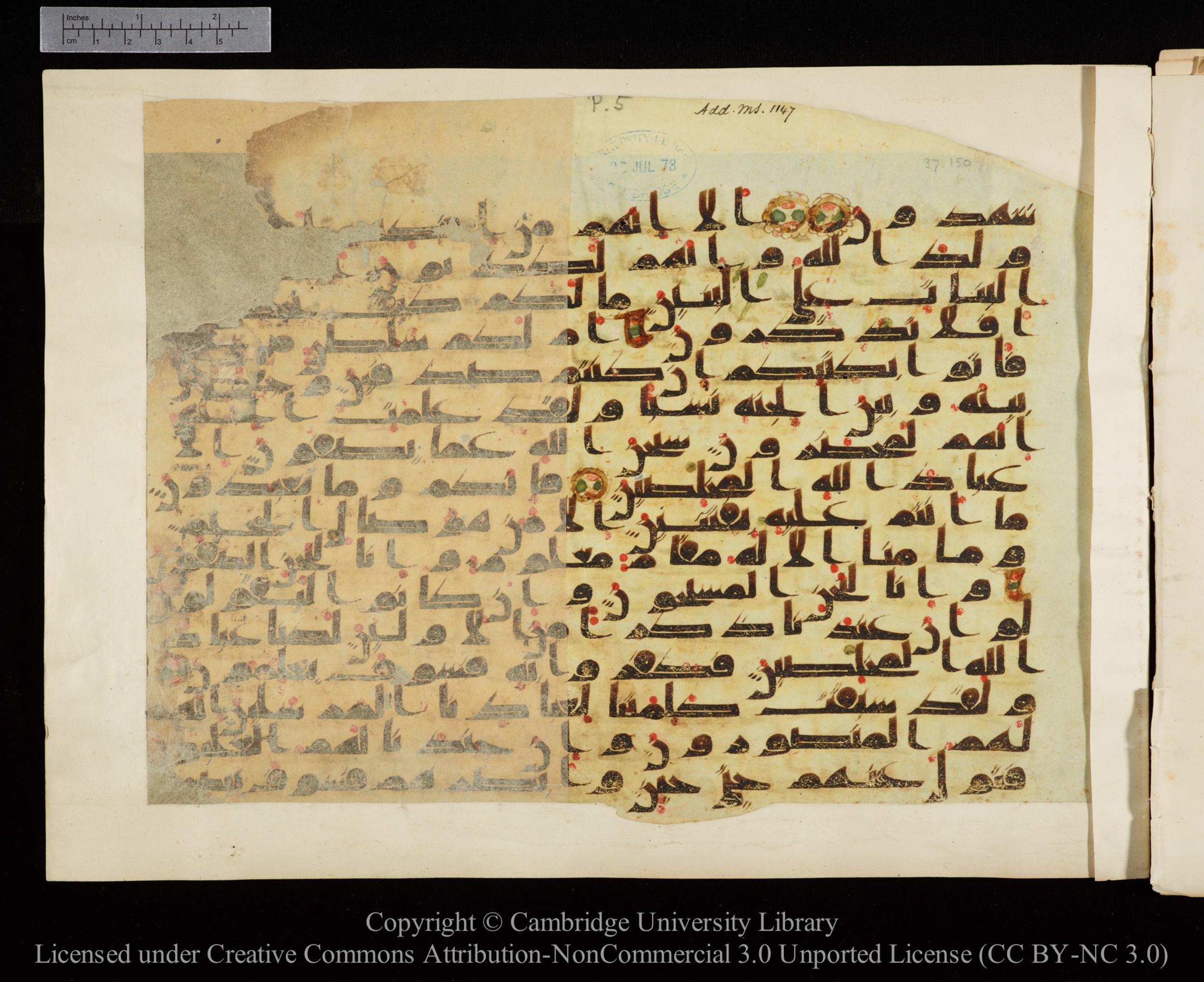 Cambridge University Library, MS Add.1147, in kūfī C II script, showing Surah 37:175 from 9th or 10th Century AD found in Sinai Peninsula, currently housed at Cambridge University Library, Cambridge