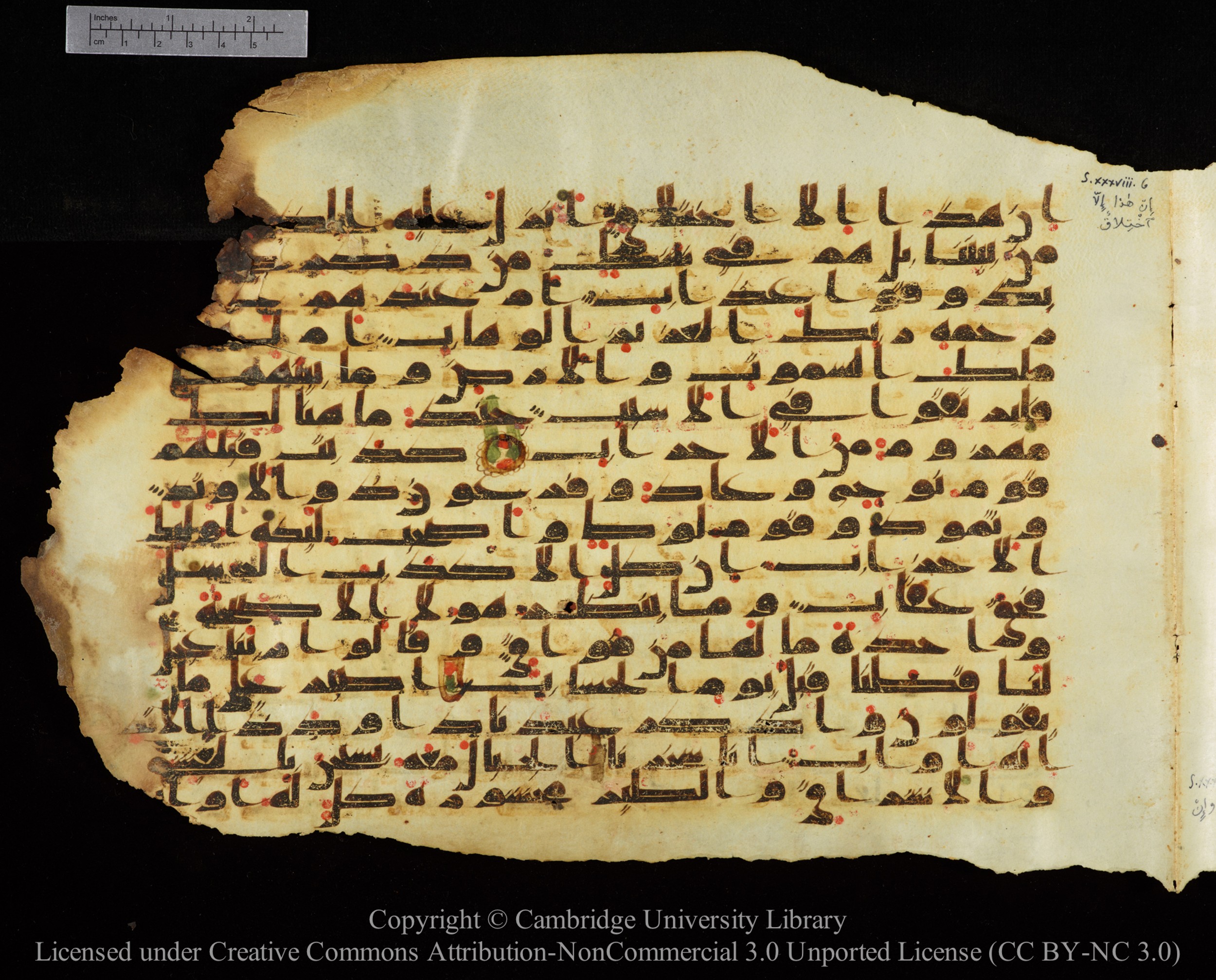 Cambridge University Library, MS Add.1147, in kūfī C II script, showing Surah 38:13 from 9th or 10th Century AD found in Sinai Peninsula, currently housed at Cambridge University Library, Cambridge