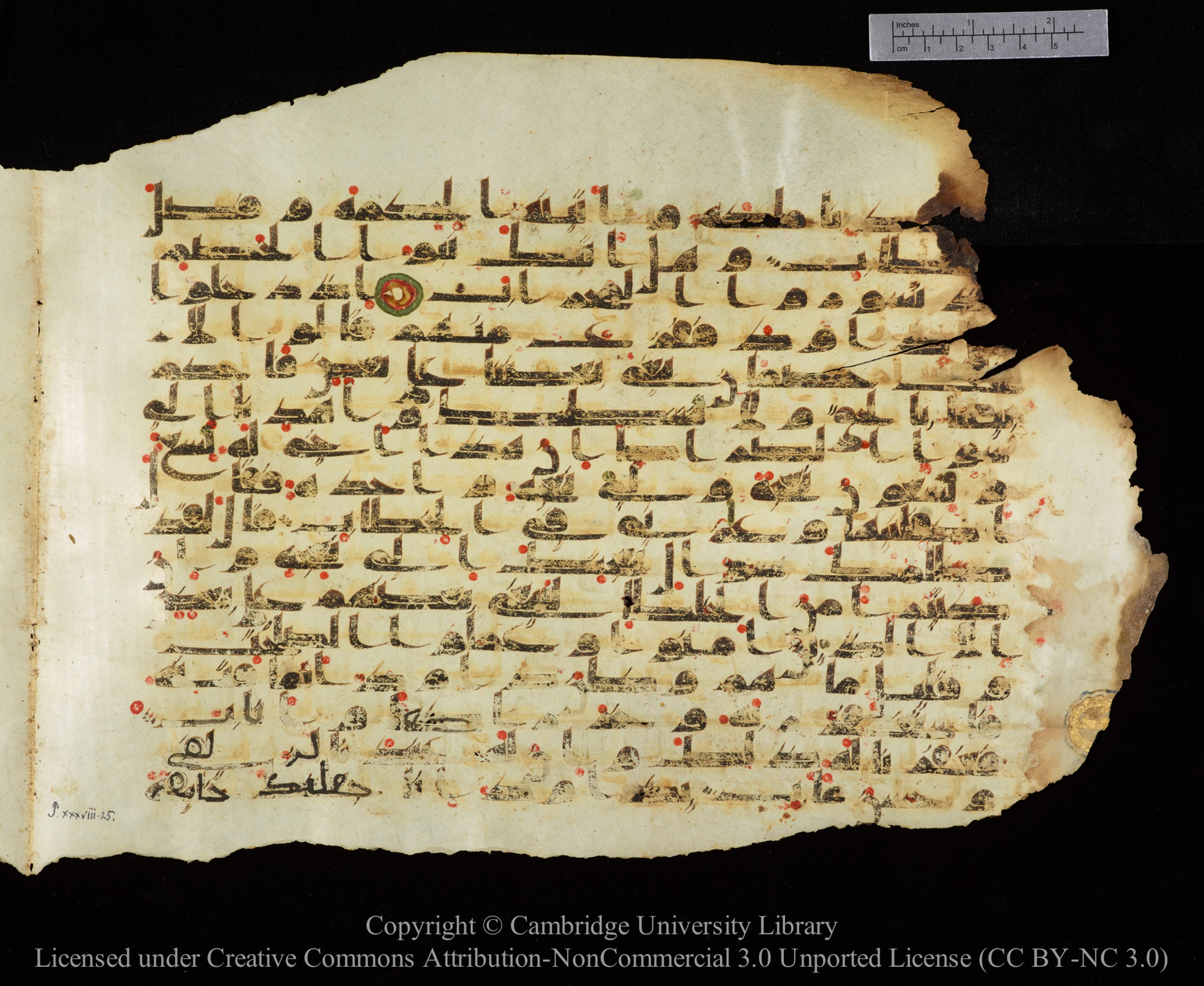 Cambridge University Library, MS Add.1147, in kūfī C II script, showing Surah 38:21 from 9th or 10th Century AD found in Sinai Peninsula, currently housed at Cambridge University Library, Cambridge