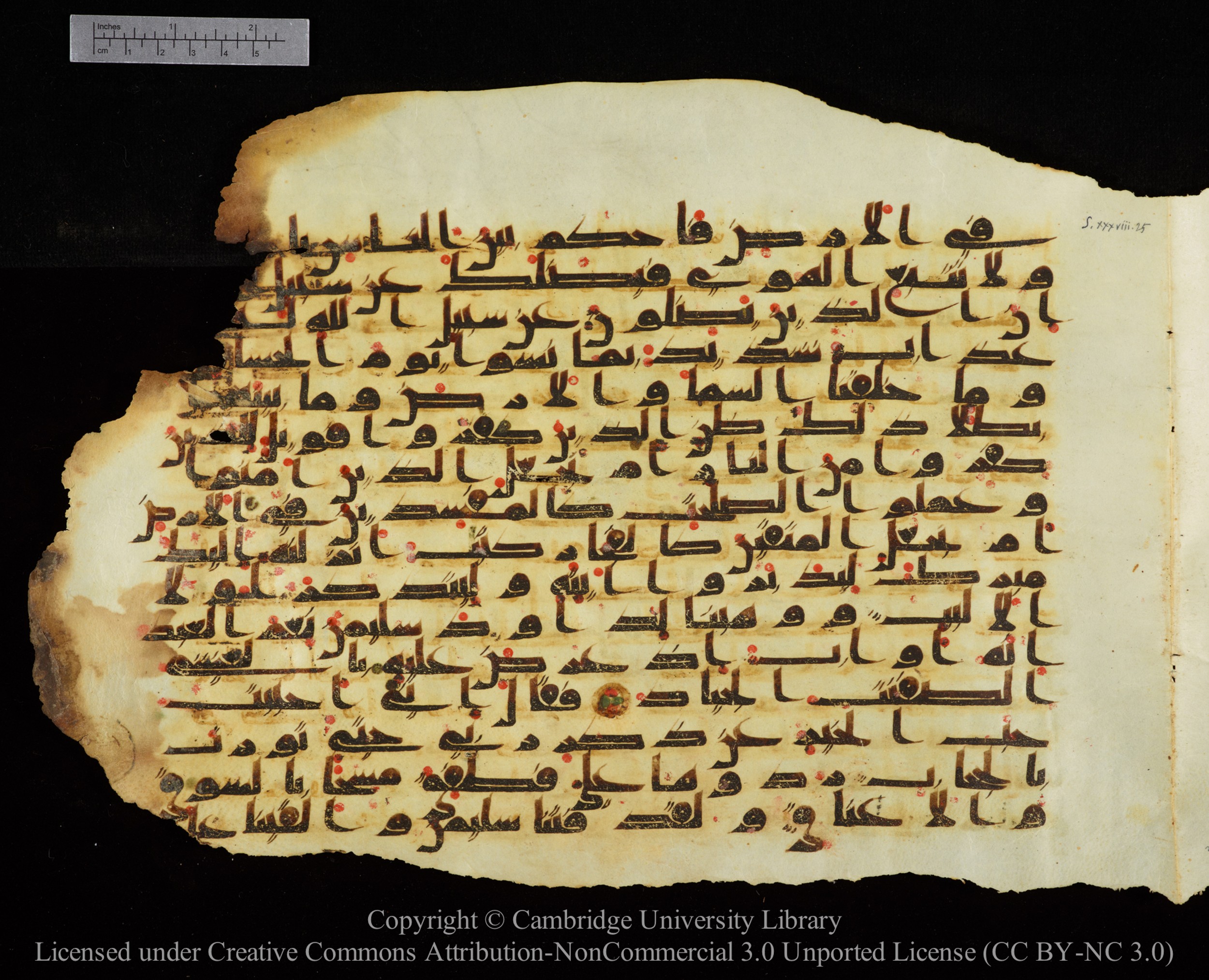 Cambridge University Library, MS Add.1147, in kūfī C II script, showing Surah 38:30 from 9th or 10th Century AD found in Sinai Peninsula, currently housed at Cambridge University Library, Cambridge