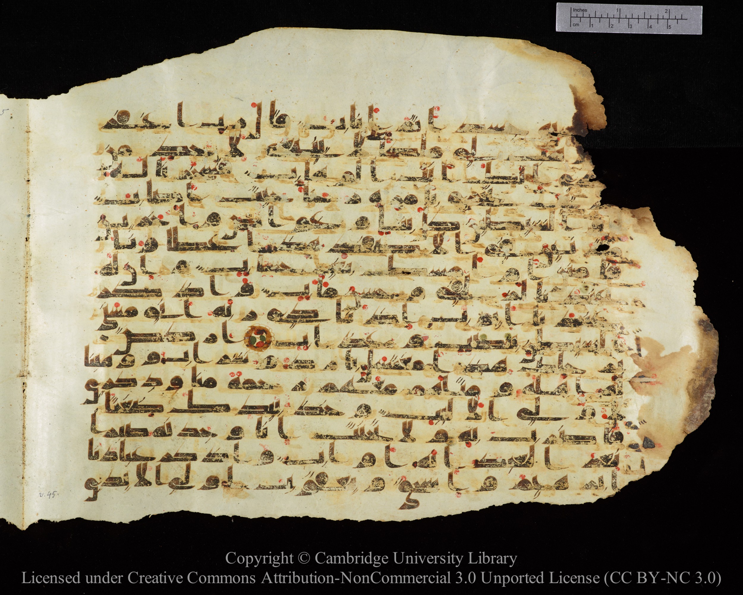 Cambridge University Library, MS Add.1147, in kūfī C II script, showing Surah 38:39 from 9th or 10th Century AD found in Sinai Peninsula, currently housed at Cambridge University Library, Cambridge