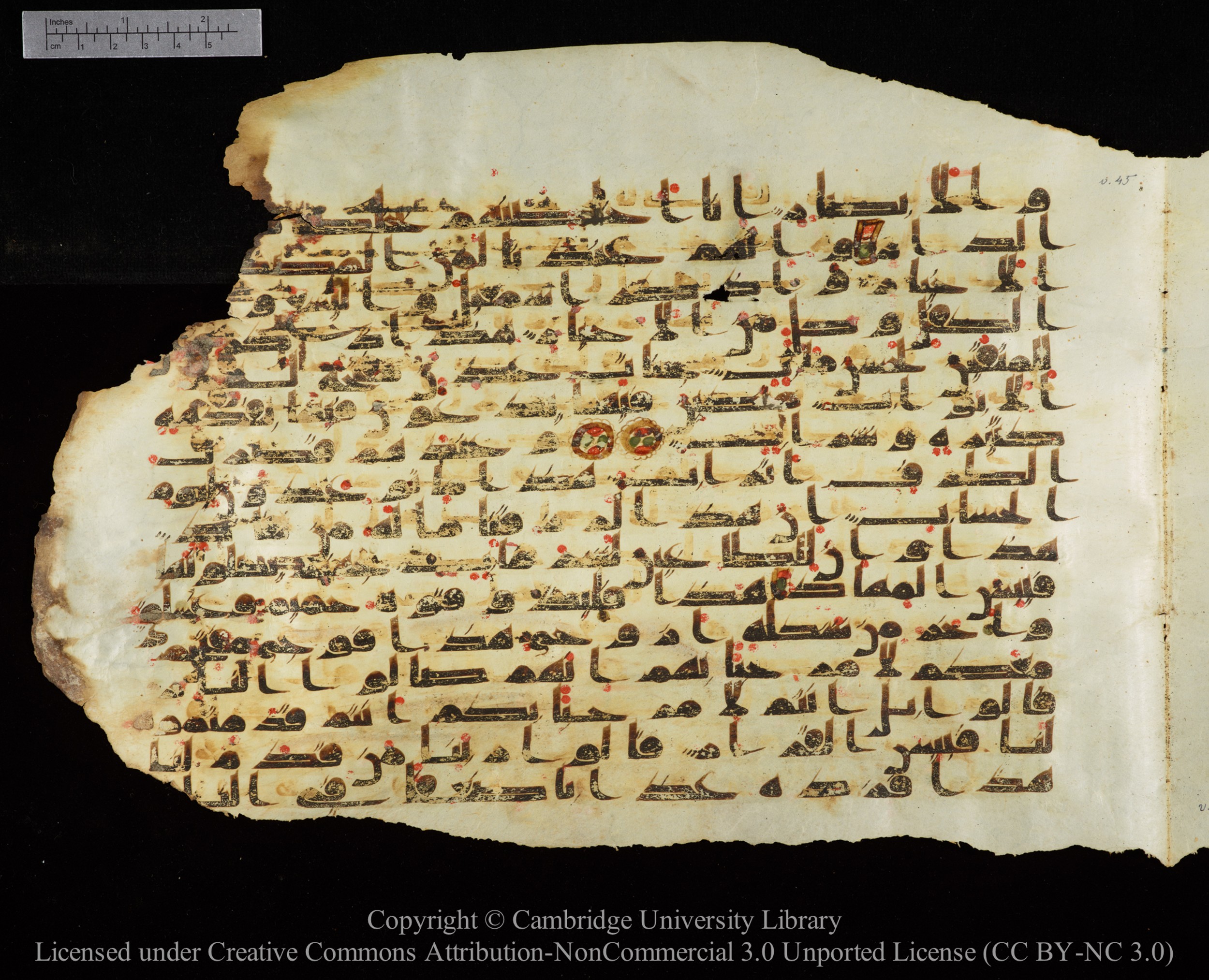 Cambridge University Library, MS Add.1147 (Scan 2), in kūfī C II script, showing Surah 38:45 from 9th or 10th Century AD found in Sinai Peninsula, currently housed at Cambridge University Library, Cambridge