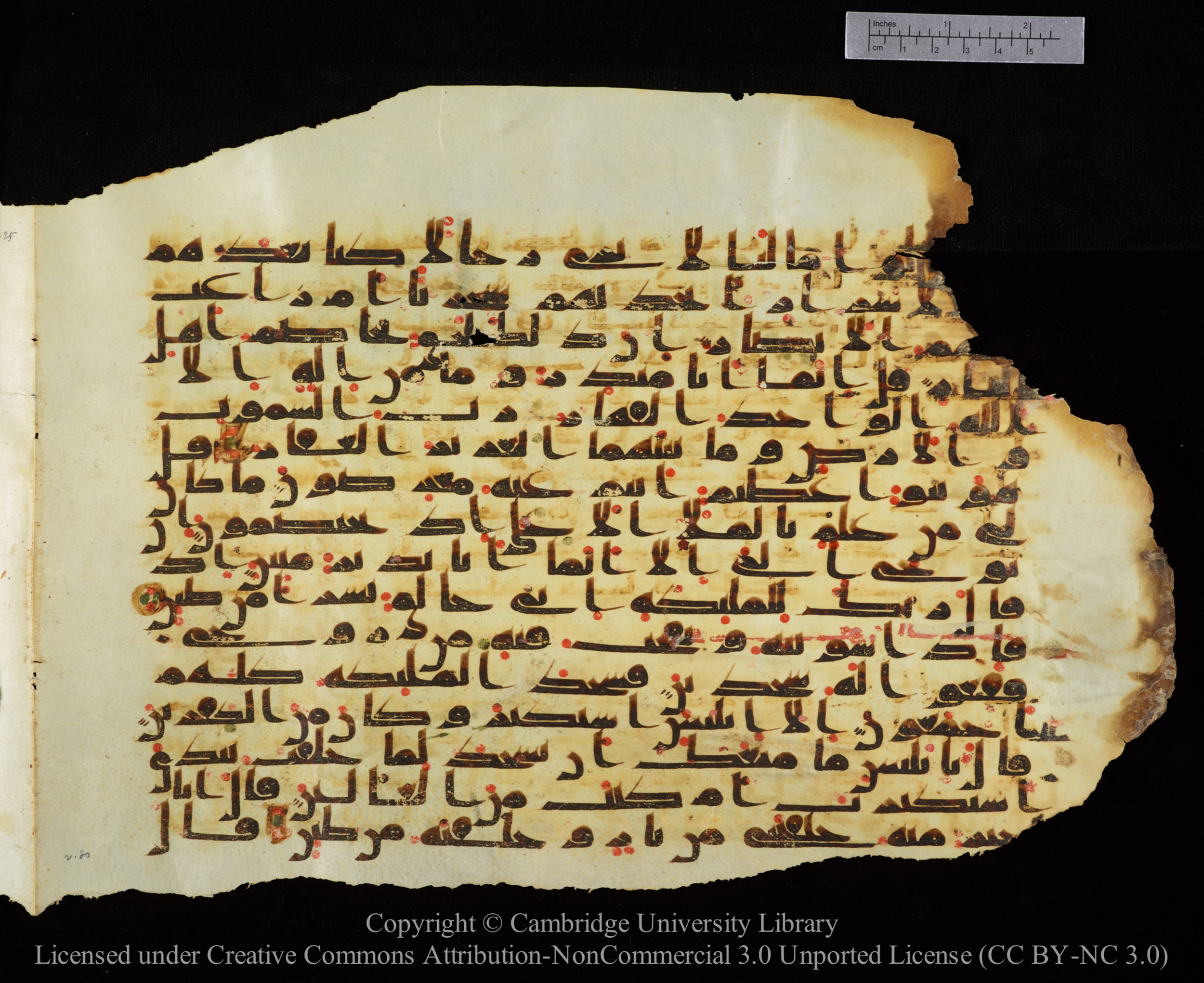 Cambridge University Library, MS Add.1147, in kūfī C II script, showing Surah 38:76 from 9th or 10th Century AD found in Sinai Peninsula, currently housed at Cambridge University Library, Cambridge
