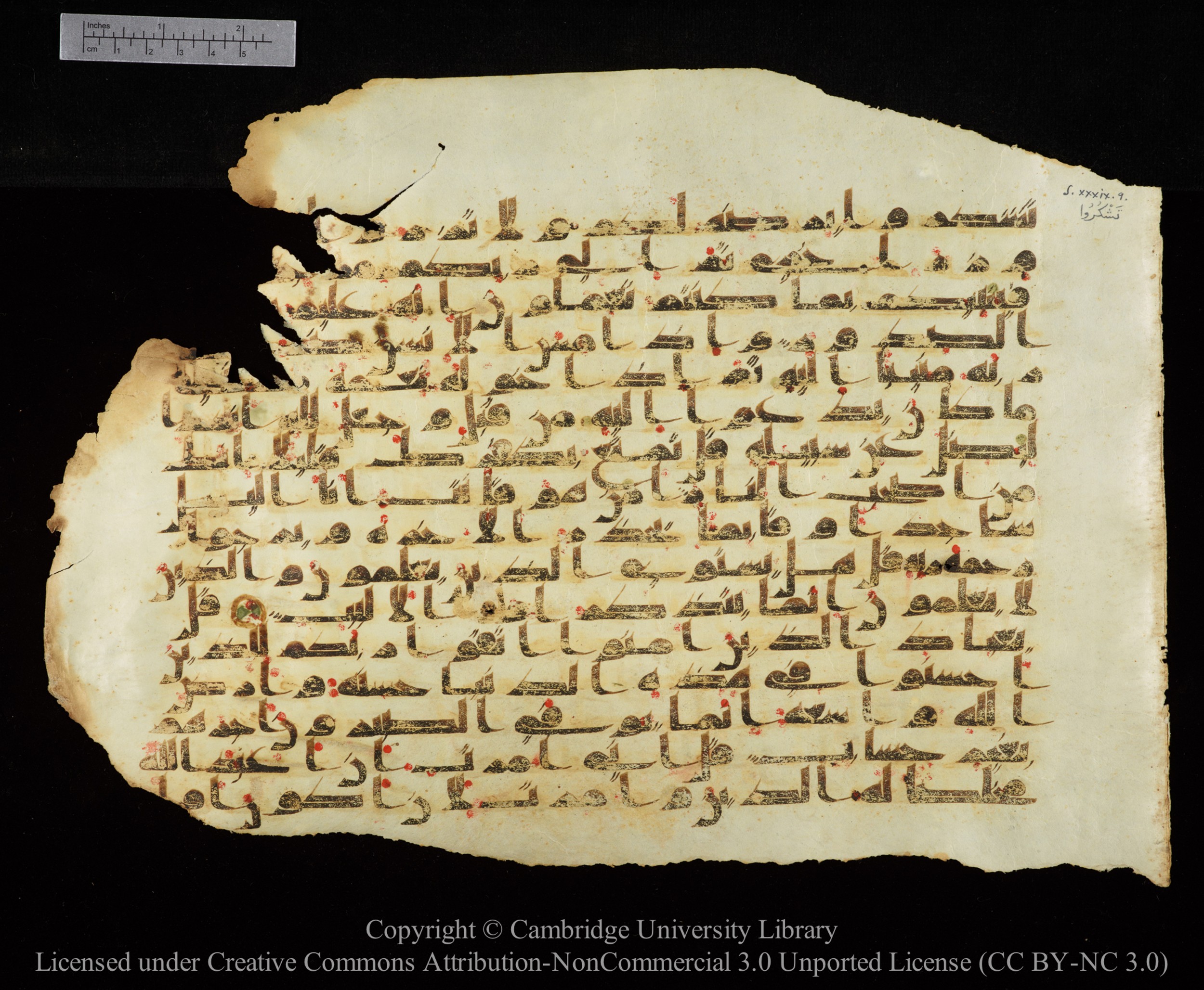 Cambridge University Library, MS Add.1147 (Scan 2), in kūfī C II script, showing Surah 39:7 from 9th or 10th Century AD found in Sinai Peninsula, currently housed at Cambridge University Library, Cambridge