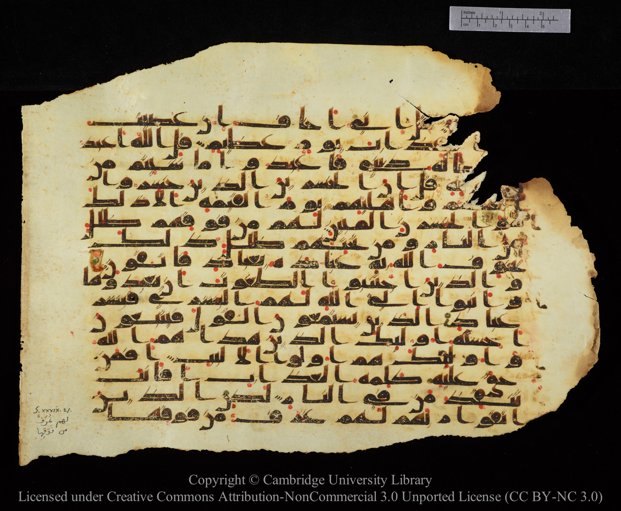Cambridge University Library, MS Add.1147, in kūfī C II script, showing Surah 39:13 from 9th or 10th Century AD found in Sinai Peninsula, currently housed at Cambridge University Library, Cambridge