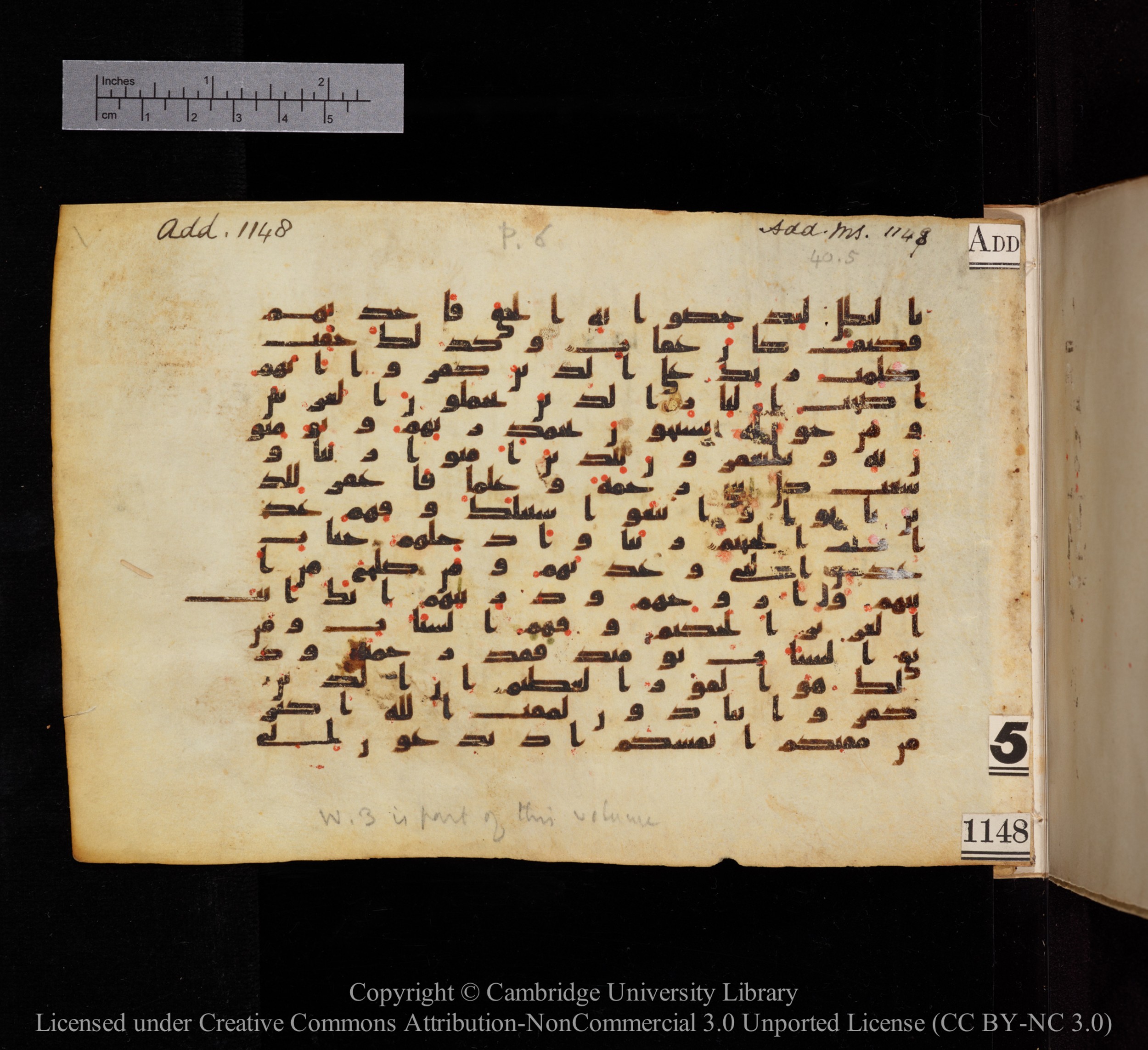 Cambridge, Cambridge University Library, MS Add.1148, in kūfī B II script, showing Surah 40:8 from 9th or 10th century AD found in Sinai Peninsula, currently housed at Cambridge University Library, Cambridge