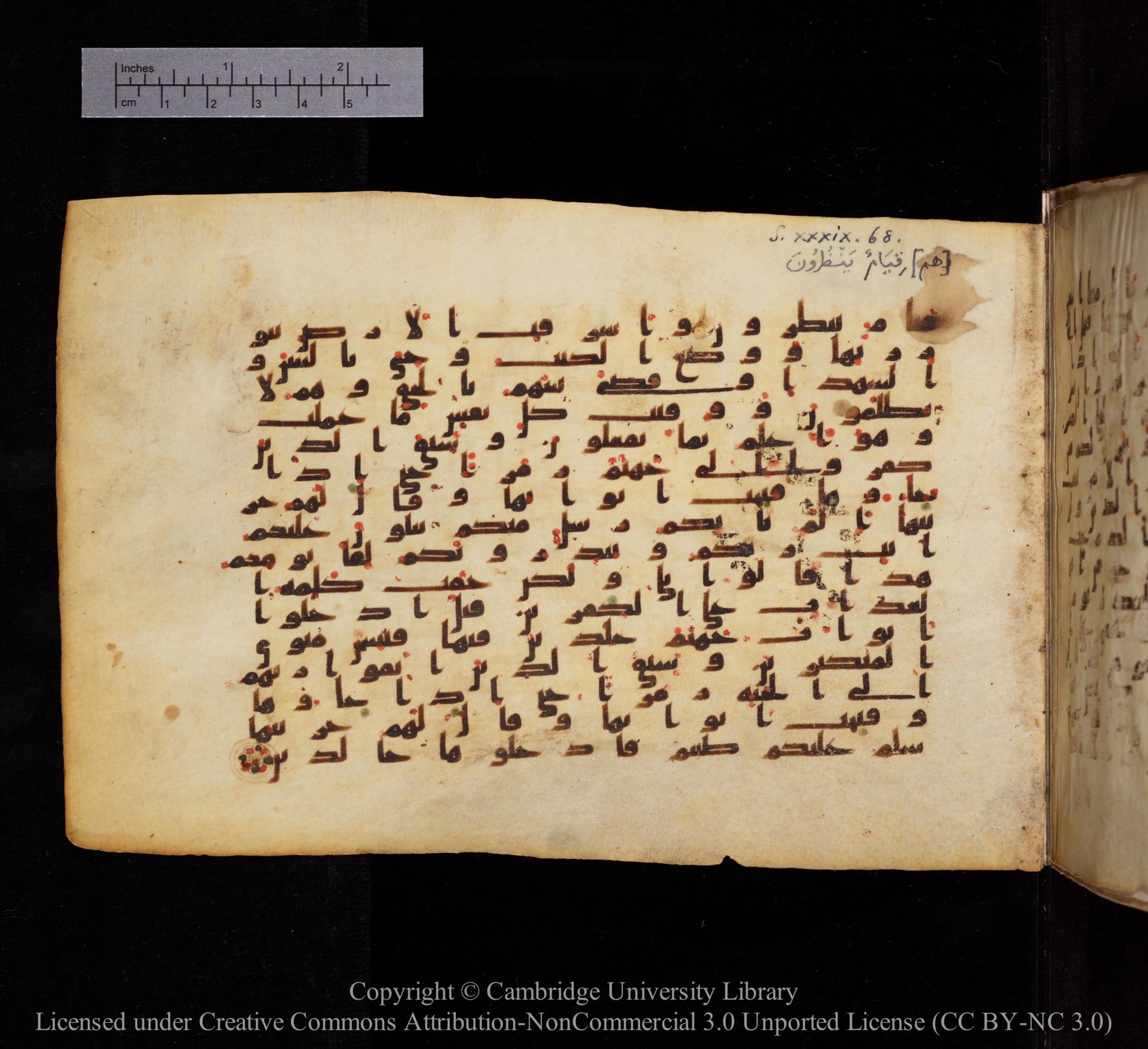 Cambridge, Cambridge University Library, MS Add.1148, in kūfī B II script, showing Surah 39:73 from 9th or 10th century AD found in Sinai Peninsula, currently housed at Cambridge University Library, Cambridge