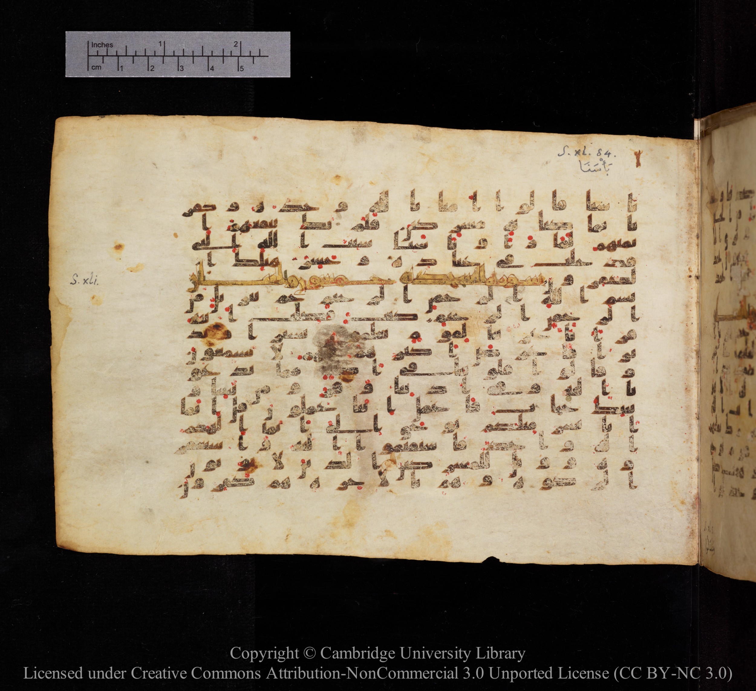 Cambridge, Cambridge University Library, MS Add.1148, in kūfī B II script, showing Surah 41:2 from 9th or 10th century AD found in Sinai Peninsula, currently housed at Cambridge University Library, Cambridge