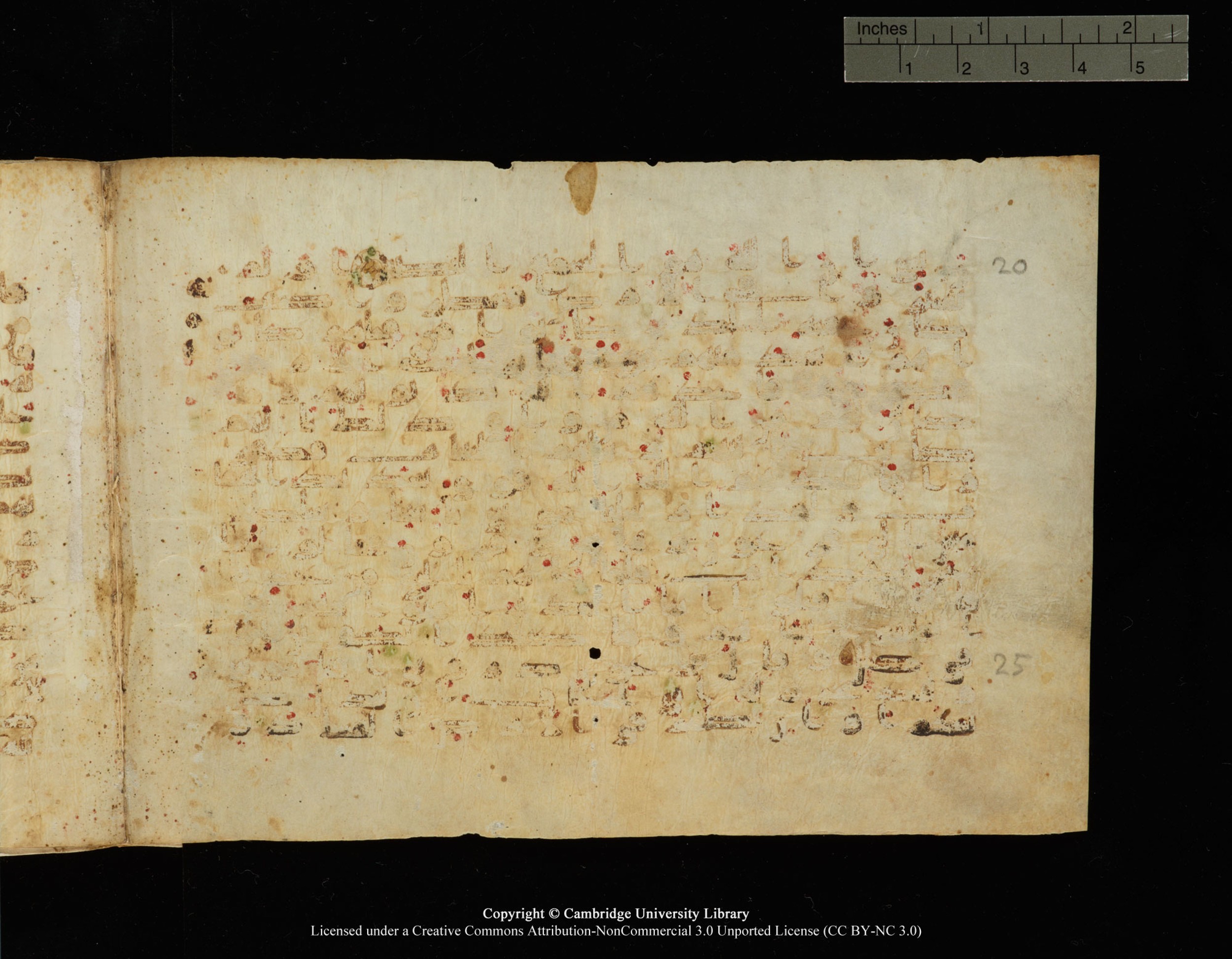 Cambridge, Cambridge University Library, MS Add.1149, in kūfī B.II script, showing Surah 40:21 from 9th Century AD found in Sinai Peninsula, Egypt, currently housed at Cambridge University Library, Cambridge, UK