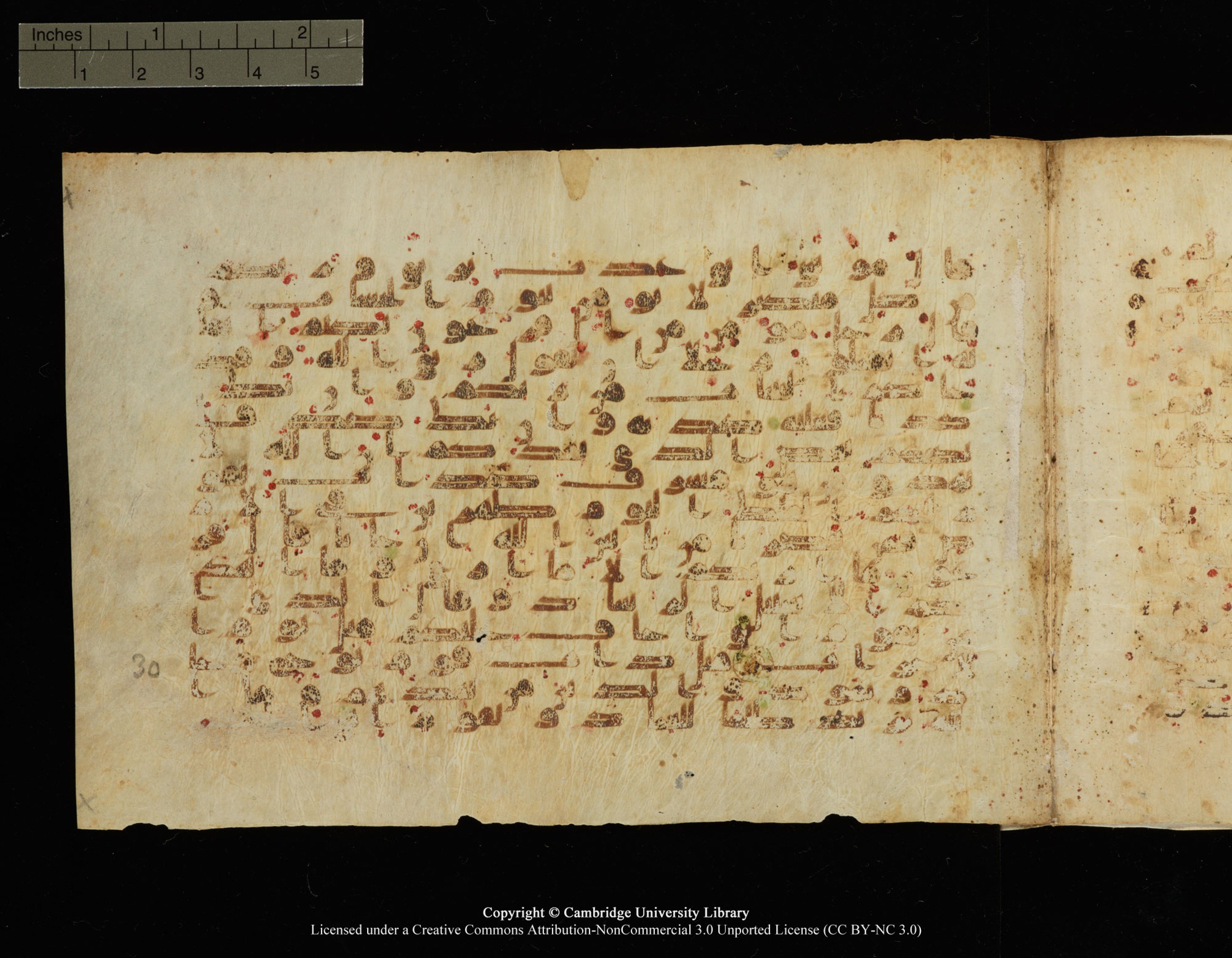 Cambridge, Cambridge University Library, MS Add.1149, in kūfī B.II script, showing Surah 40:30 from 9th Century AD found in Sinai Peninsula, Egypt, currently housed at Cambridge University Library, Cambridge, UK