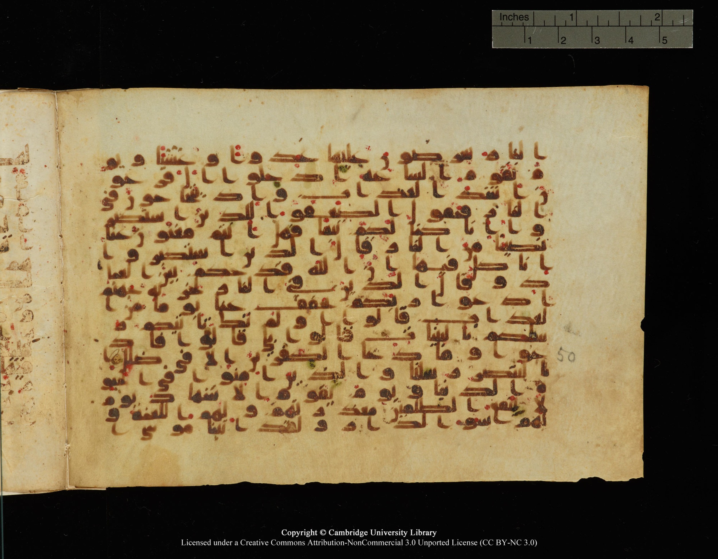 Cambridge, Cambridge University Library, MS Add.1149, in kūfī B.II script, showing Surah 40:49 from 9th Century AD found in Sinai Peninsula, Egypt, currently housed at Cambridge University Library, Cambridge, UK