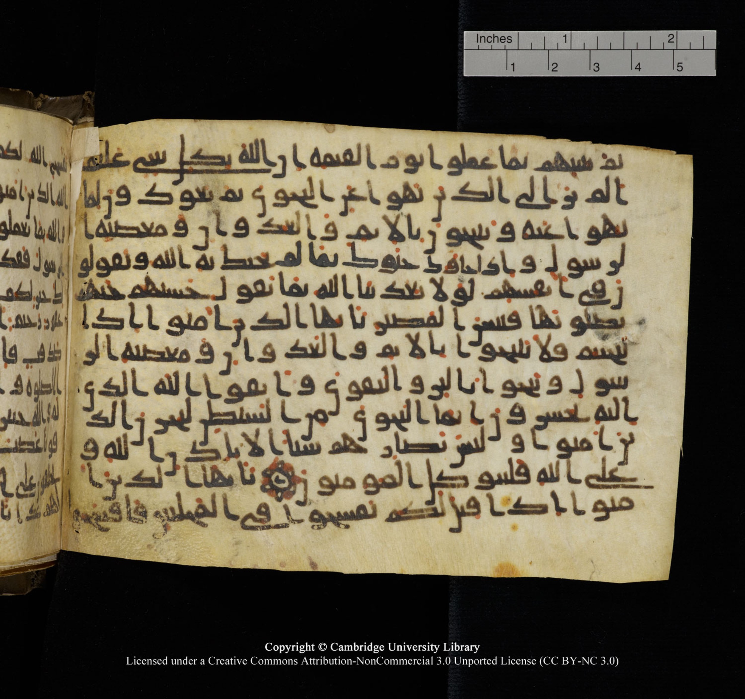 Cambridge University Library, MS Add.1150 (Scan 2), in Unidentified script, showing Surah 58:7 from 9th or 10th Century AD found in Sinai Peninsula, currently housed at Cambridge University Library, Cambridge, UK