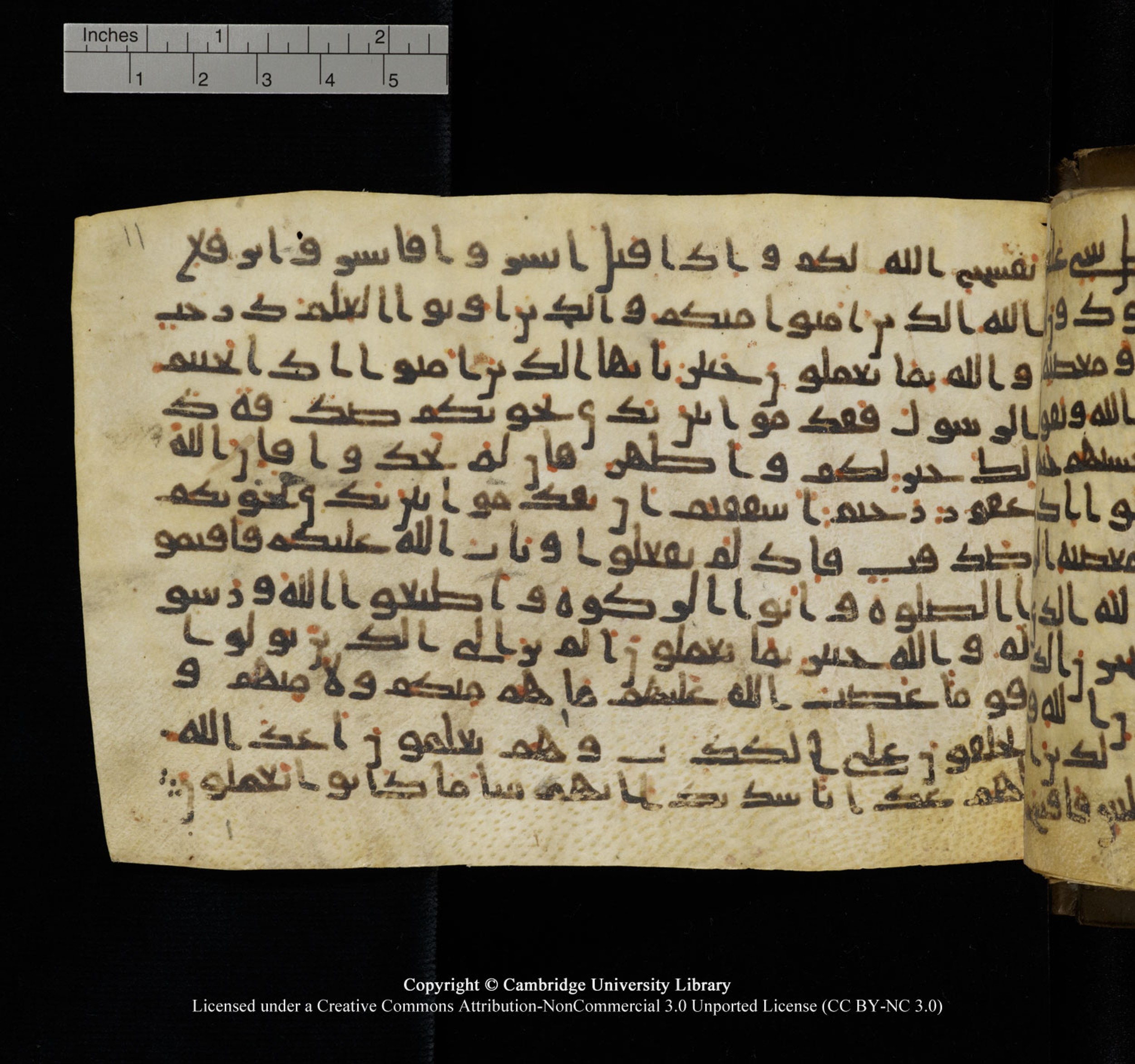 Cambridge University Library, MS Add.1150 (Scan 2), in Unidentified script, showing Surah 58:11 from 9th or 10th Century AD found in Sinai Peninsula, currently housed at Cambridge University Library, Cambridge, UK