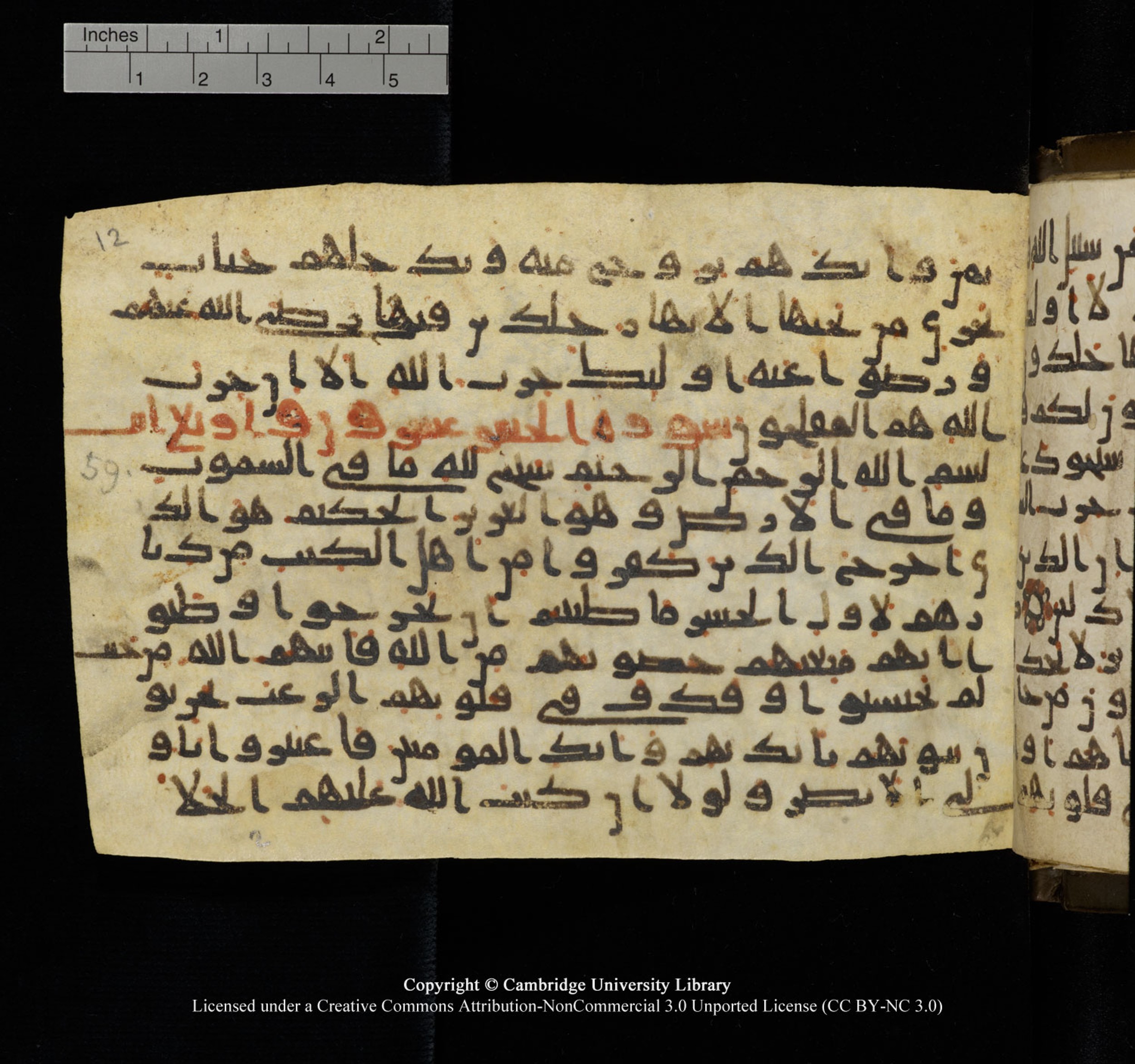 Cambridge University Library, MS Add.1150 (Scan 1), in Unidentified script, showing Surah 59:3 from 9th or 10th Century AD found in Sinai Peninsula, currently housed at Cambridge University Library, Cambridge, UK