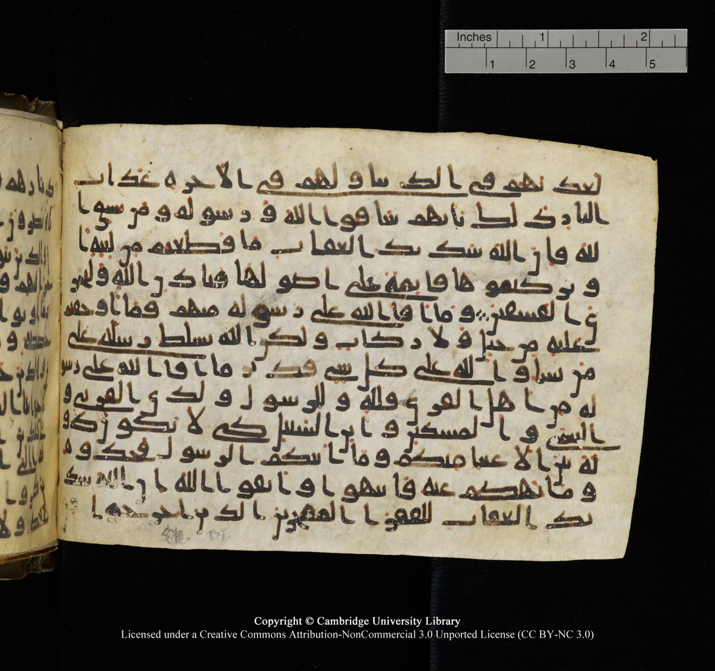 Cambridge University Library, MS Add.1150 (Scan 2), in Unidentified script, showing Surah 59:3 from 9th or 10th Century AD found in Sinai Peninsula, currently housed at Cambridge University Library, Cambridge, UK