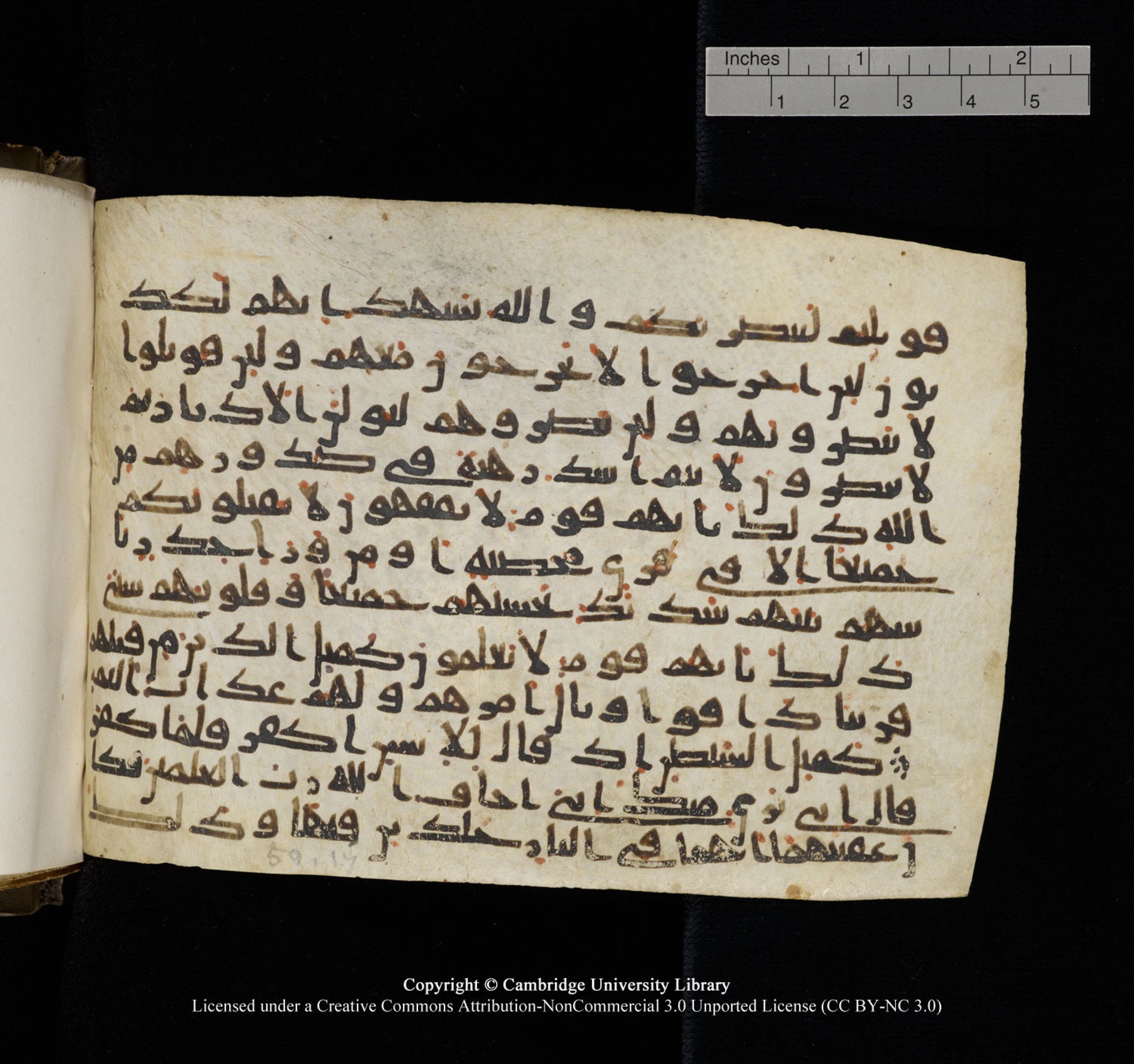 Cambridge University Library, MS Add.1150, in Unidentified script, showing Surah 59:13 from 9th or 10th Century AD found in Sinai Peninsula, currently housed at Cambridge University Library, Cambridge, UK