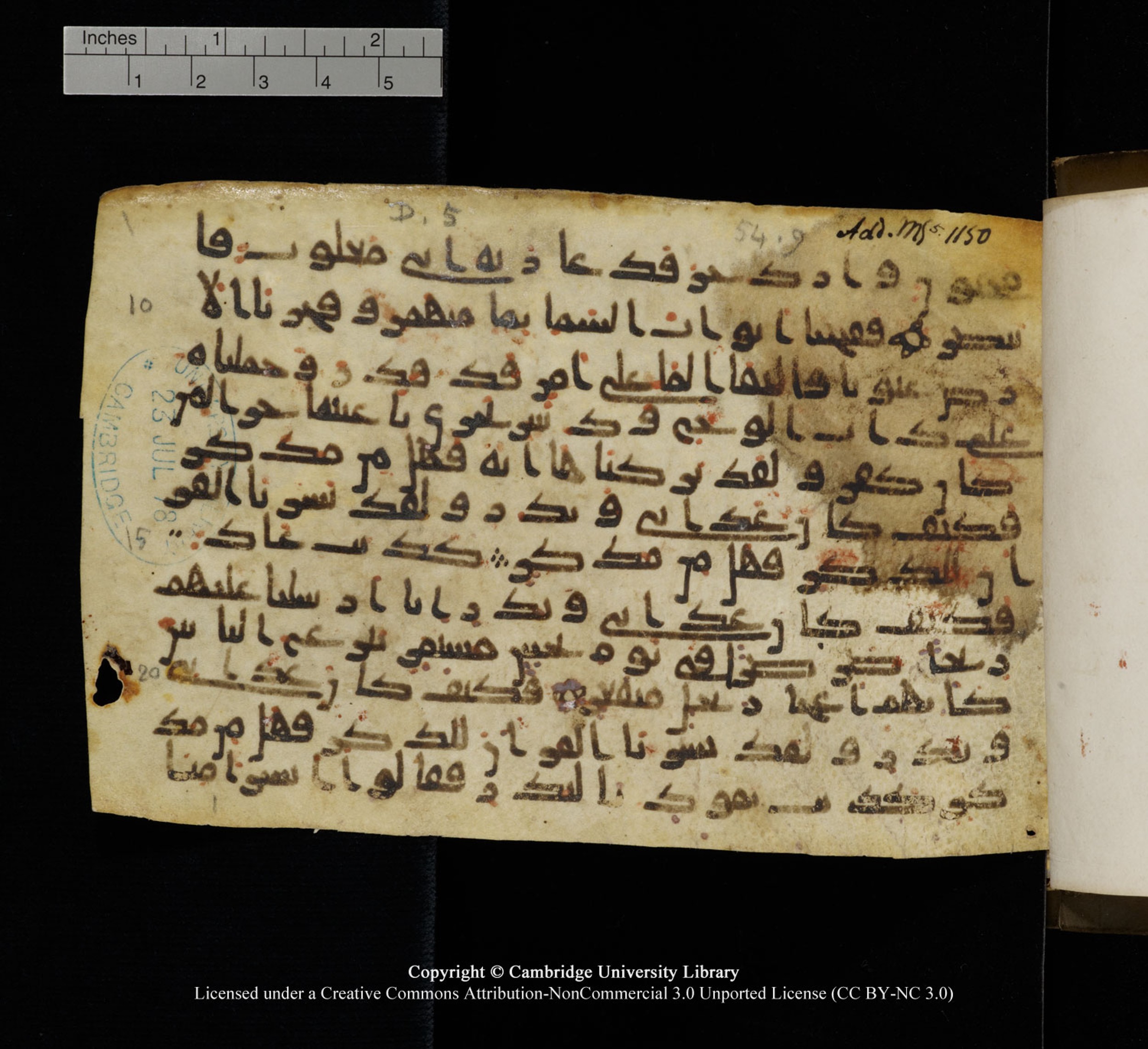 Cambridge University Library, MS Add.1150, in Unidentified script, showing Surah 54:21 from 9th or 10th Century AD found in Sinai Peninsula, currently housed at Cambridge University Library, Cambridge, UK