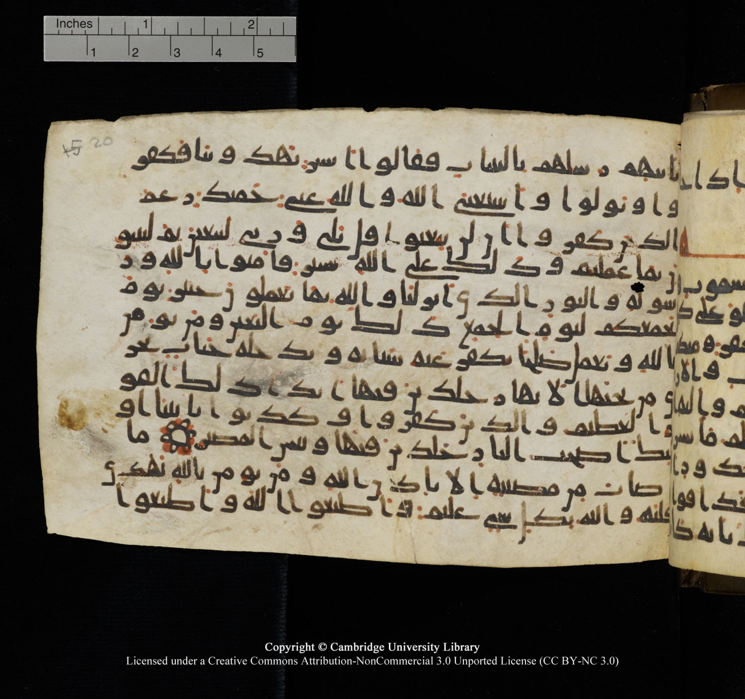 Cambridge University Library, MS Add.1150, in Unidentified script, showing Surah 64:8 from 9th or 10th Century AD found in Sinai Peninsula, currently housed at Cambridge University Library, Cambridge, UK