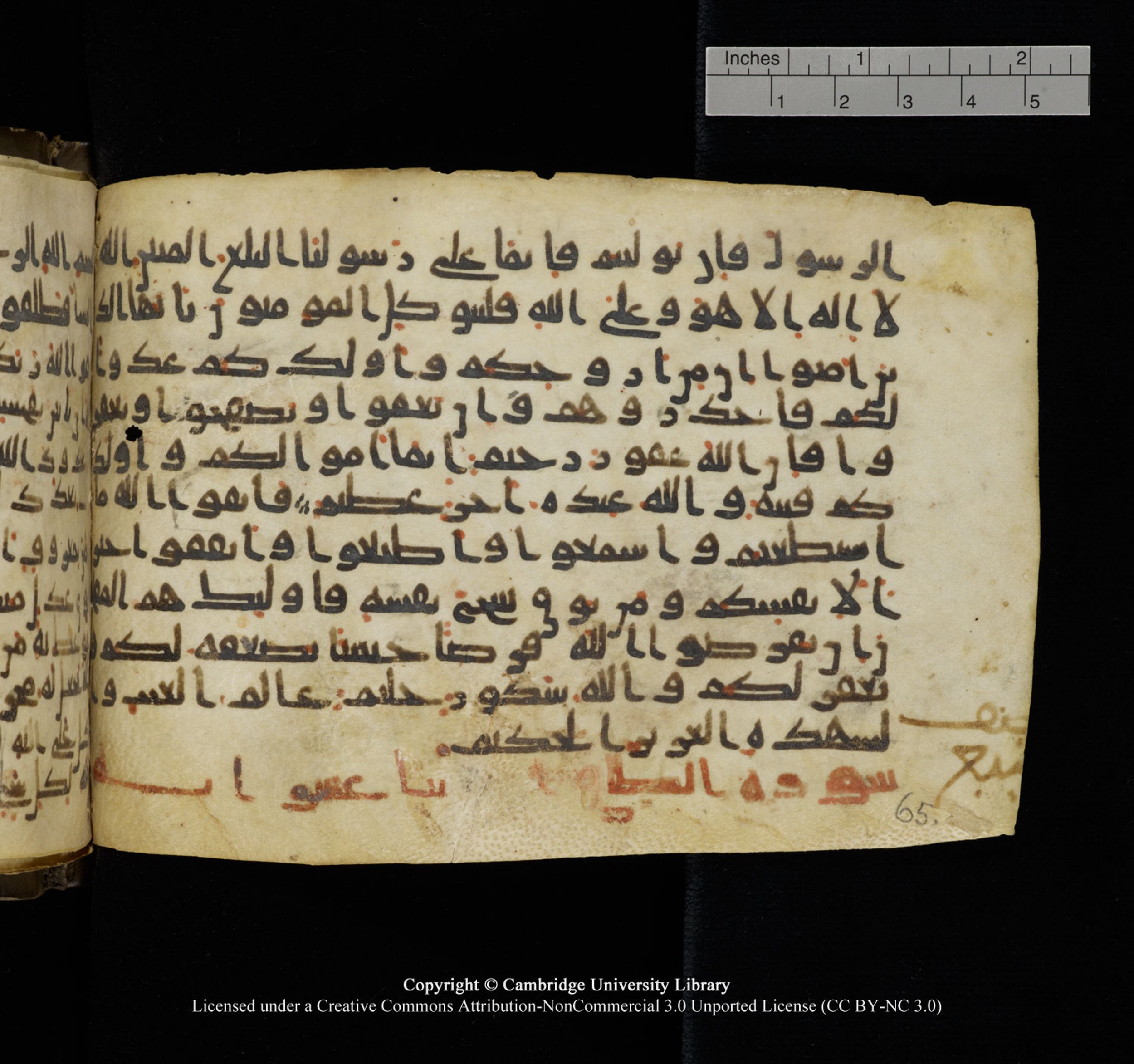 Cambridge University Library, MS Add.1150, in Unidentified script, showing Surah 64:13 from 9th or 10th Century AD found in Sinai Peninsula, currently housed at Cambridge University Library, Cambridge, UK