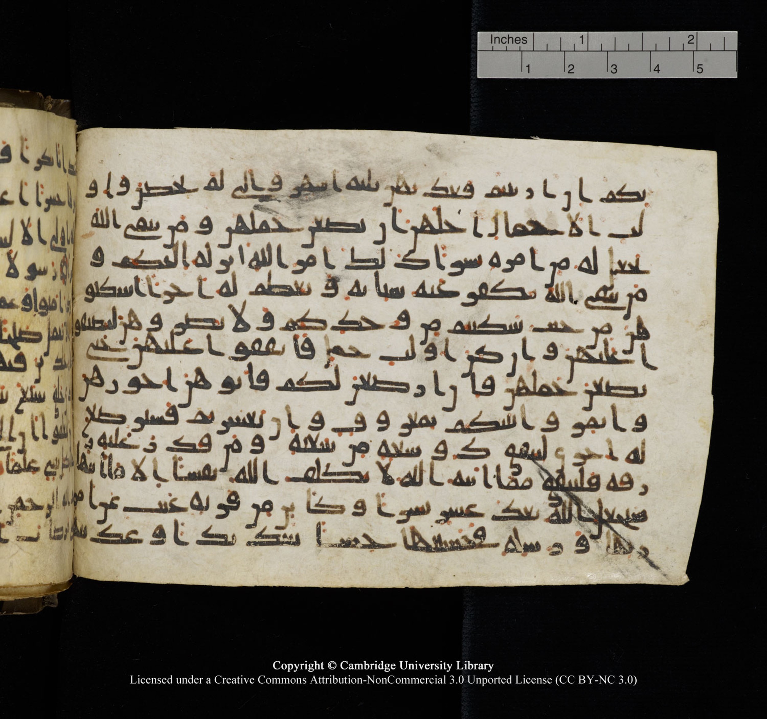 Cambridge University Library, MS Add.1150 (Scan 2), in Unidentified script, showing Surah 65:4 from 9th or 10th Century AD found in Sinai Peninsula, currently housed at Cambridge University Library, Cambridge, UK